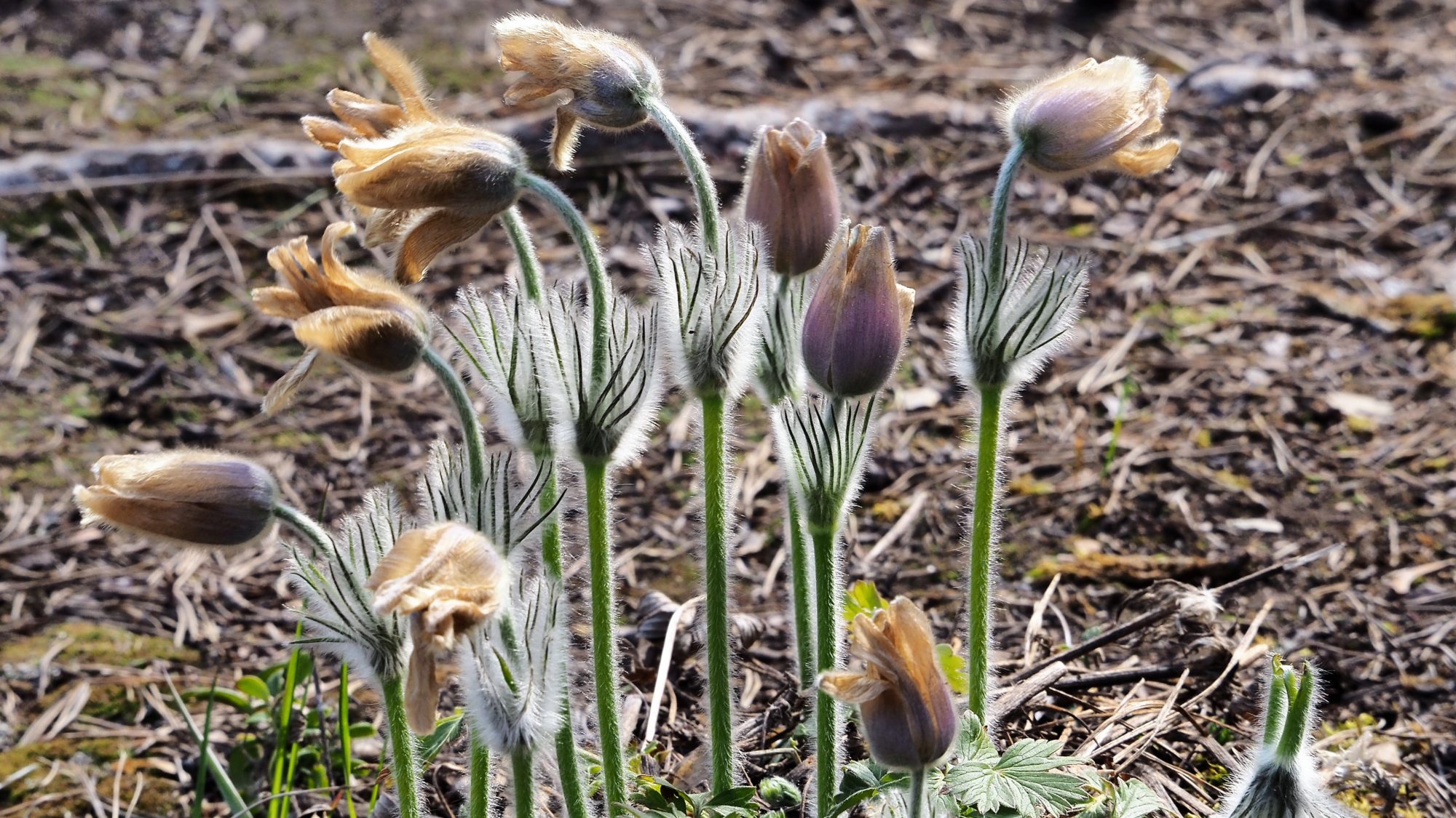 Valokuvaaja: Arja Valtonen