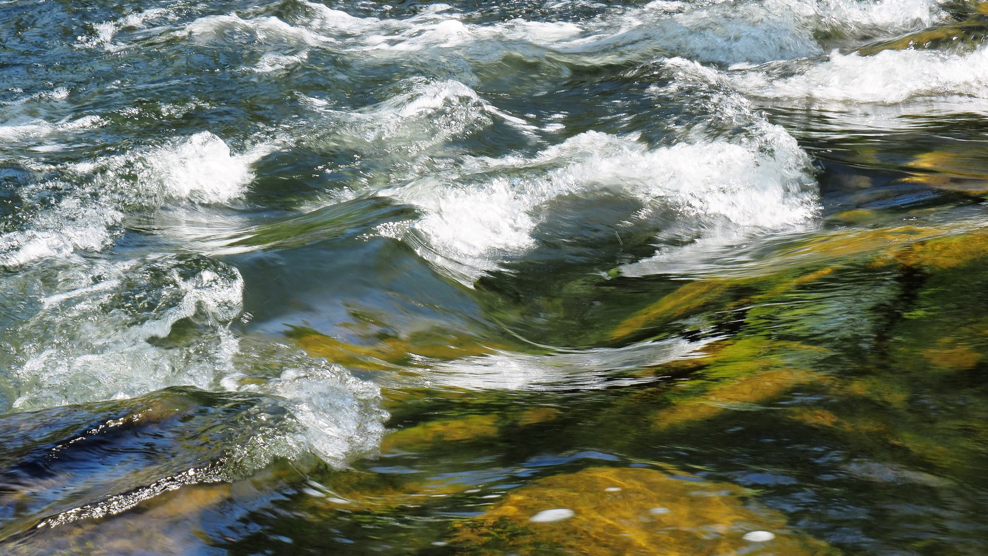 Valokuvaaja: Arja Valtonen