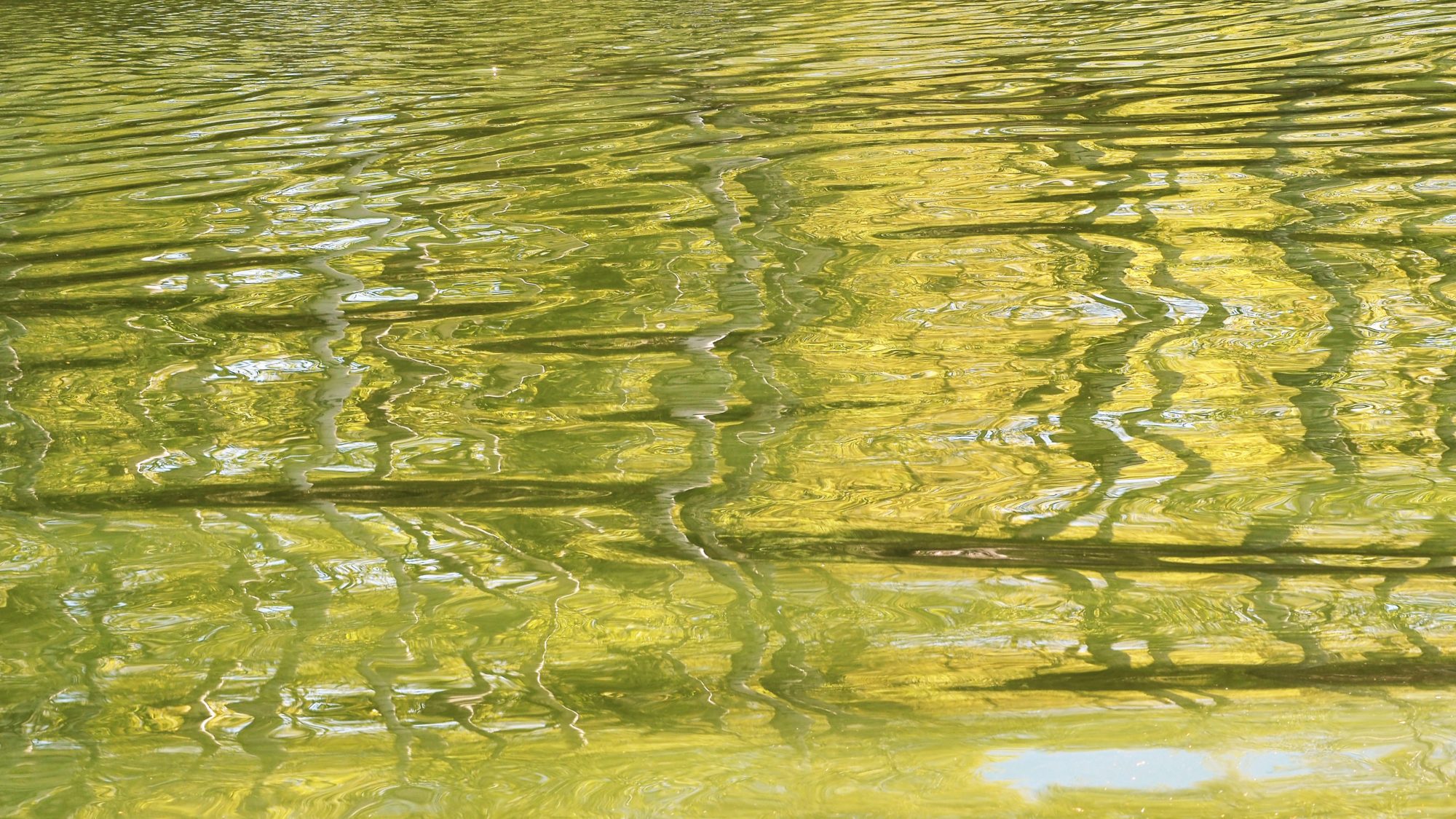 Valokuvaaja: Arja Valtonen Valokuvaaja: Arja Valtonen