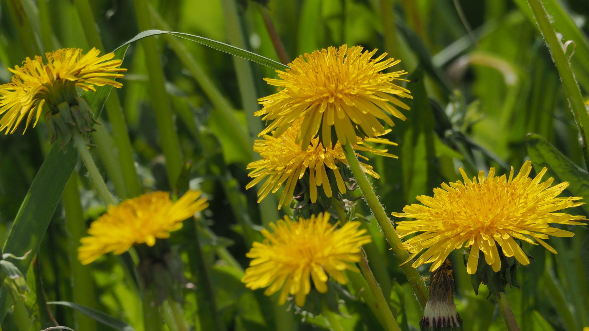 Valokuvaaja: Arja Valtonen