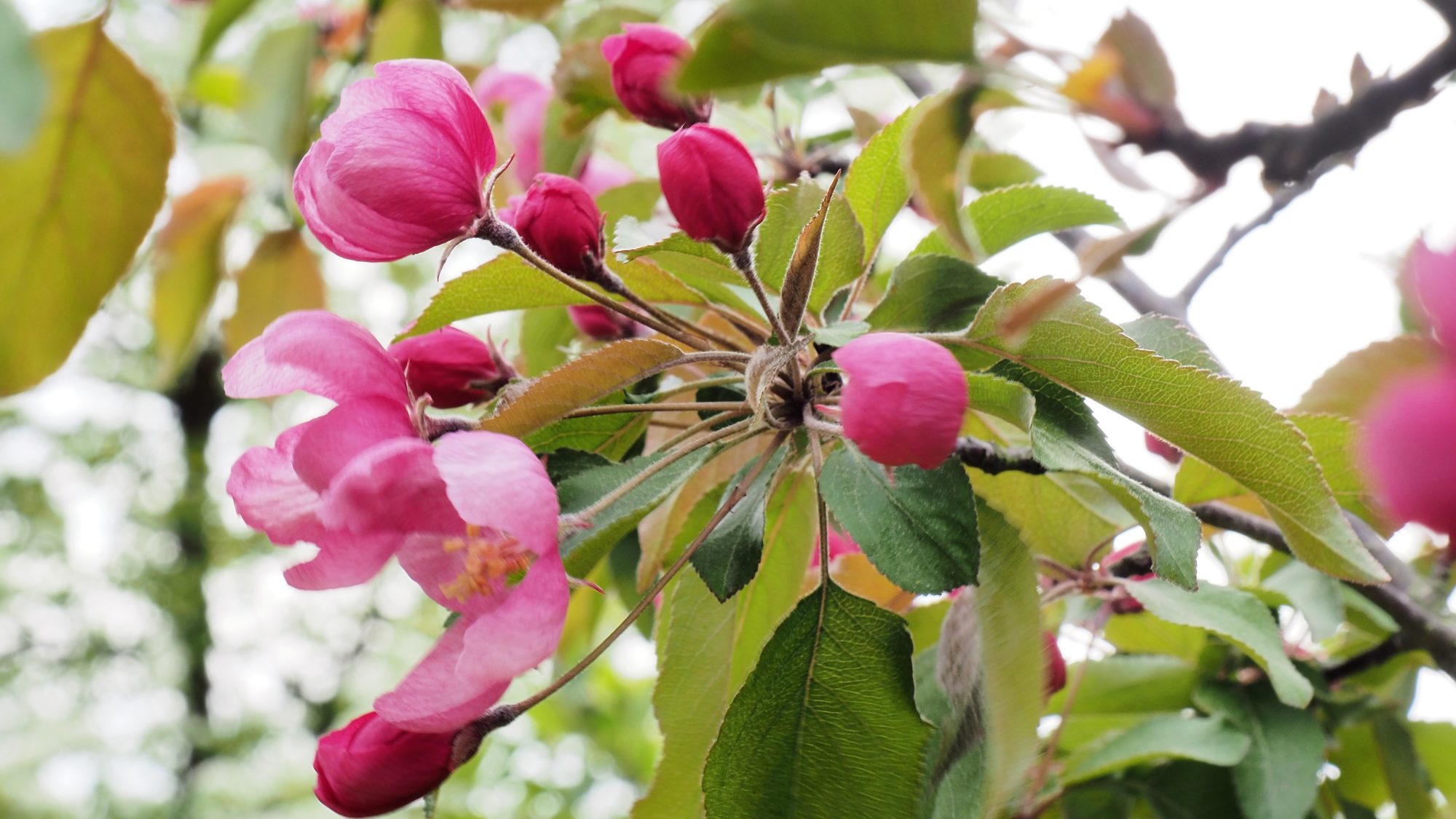 Valokuvaaja: Arja Valtonen