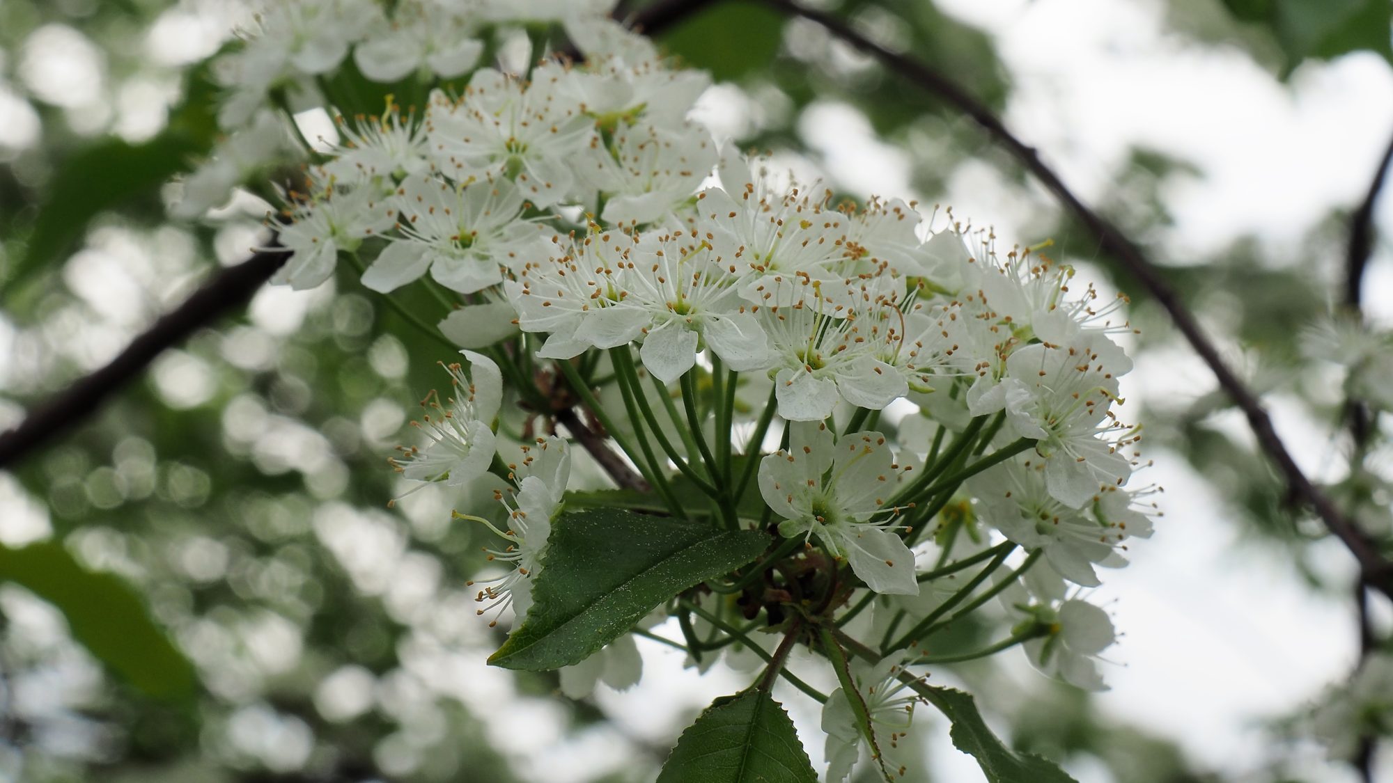 Valokuvaaja: Arja Valtonen