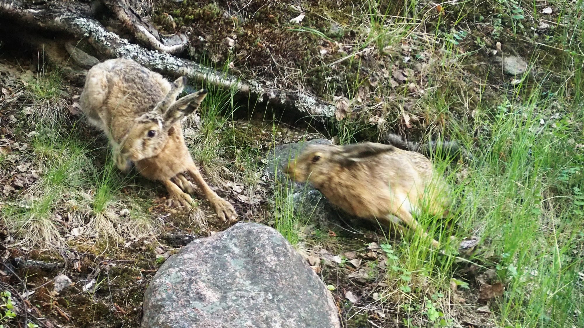 Valokuvaaja: Martti Valtonen Valokuvaaja: Martti Valtonen