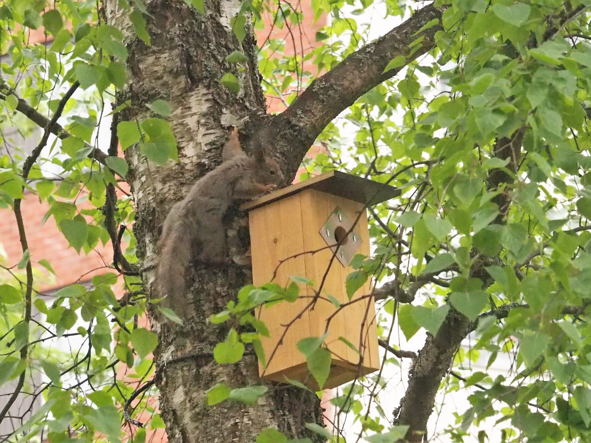 Valokuvaaja: Martti Valtonen