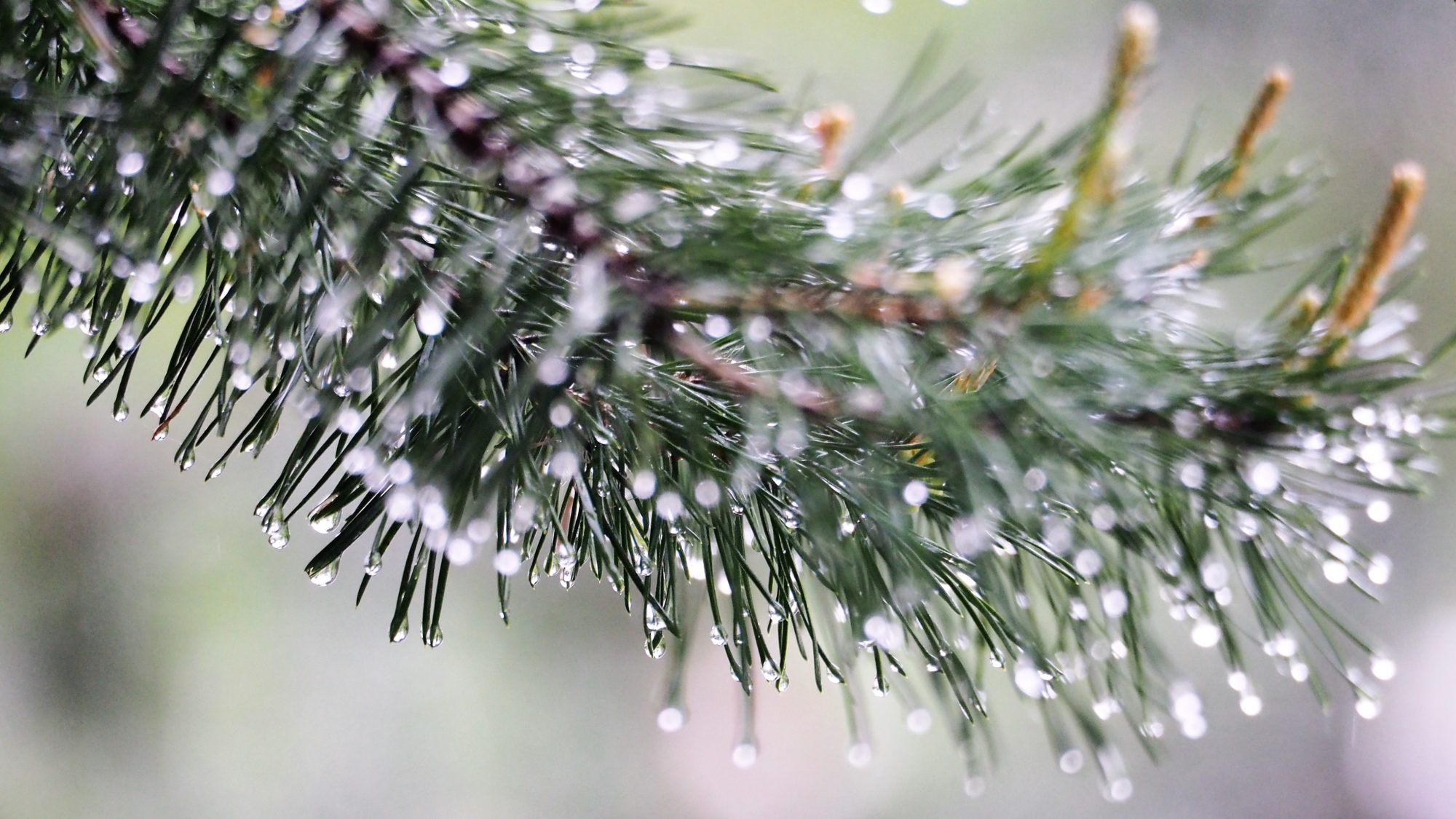 Valokuvaaja: Arja Valtonen