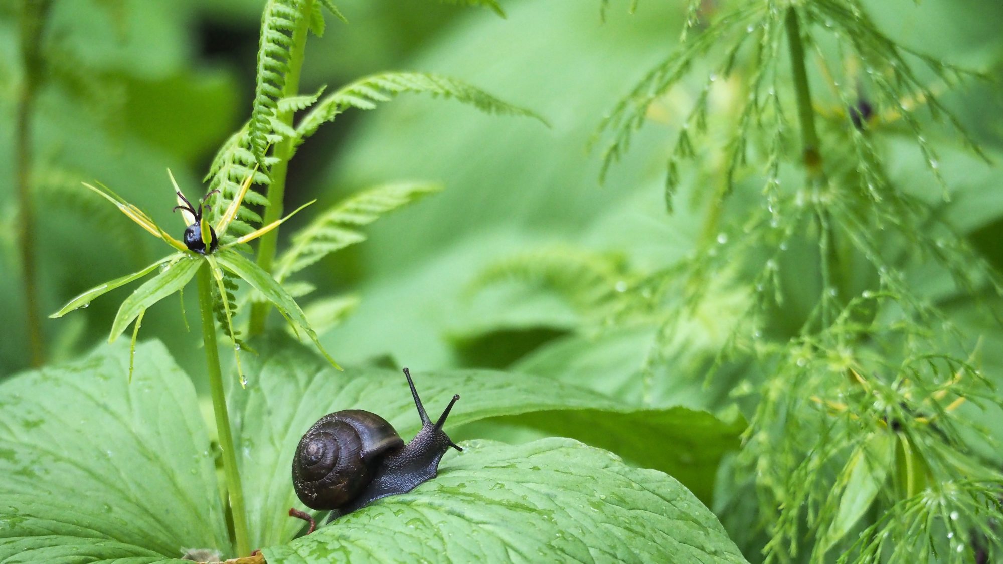 Valokuvaaja: Arja Valtonen Valokuvaaja: Arja Valtonen