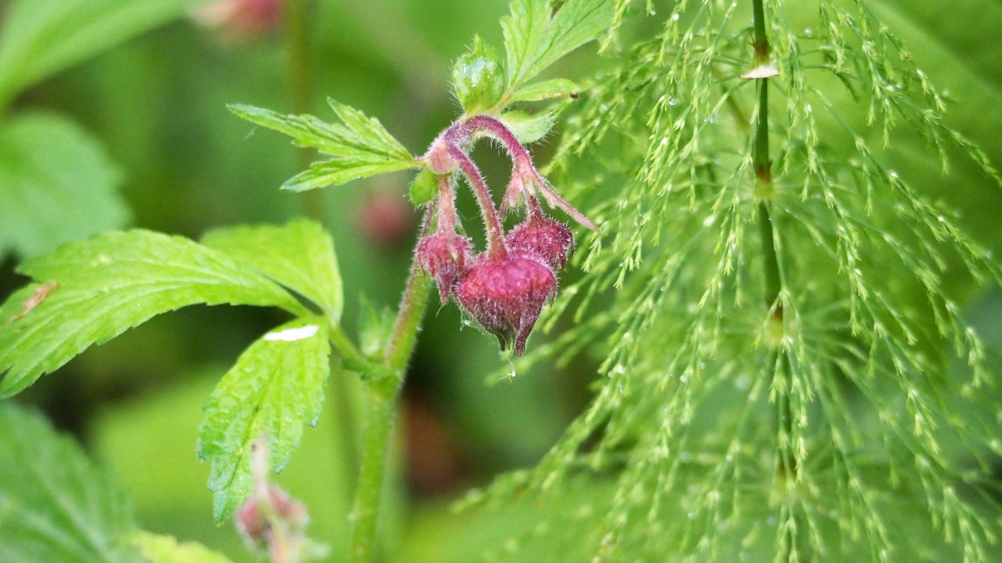Valokuvaaja: Arja Valtonen