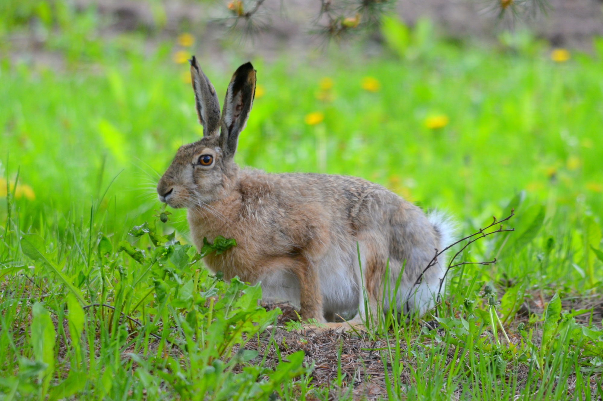 Valokuvaaja: Kaarlo Asikainen