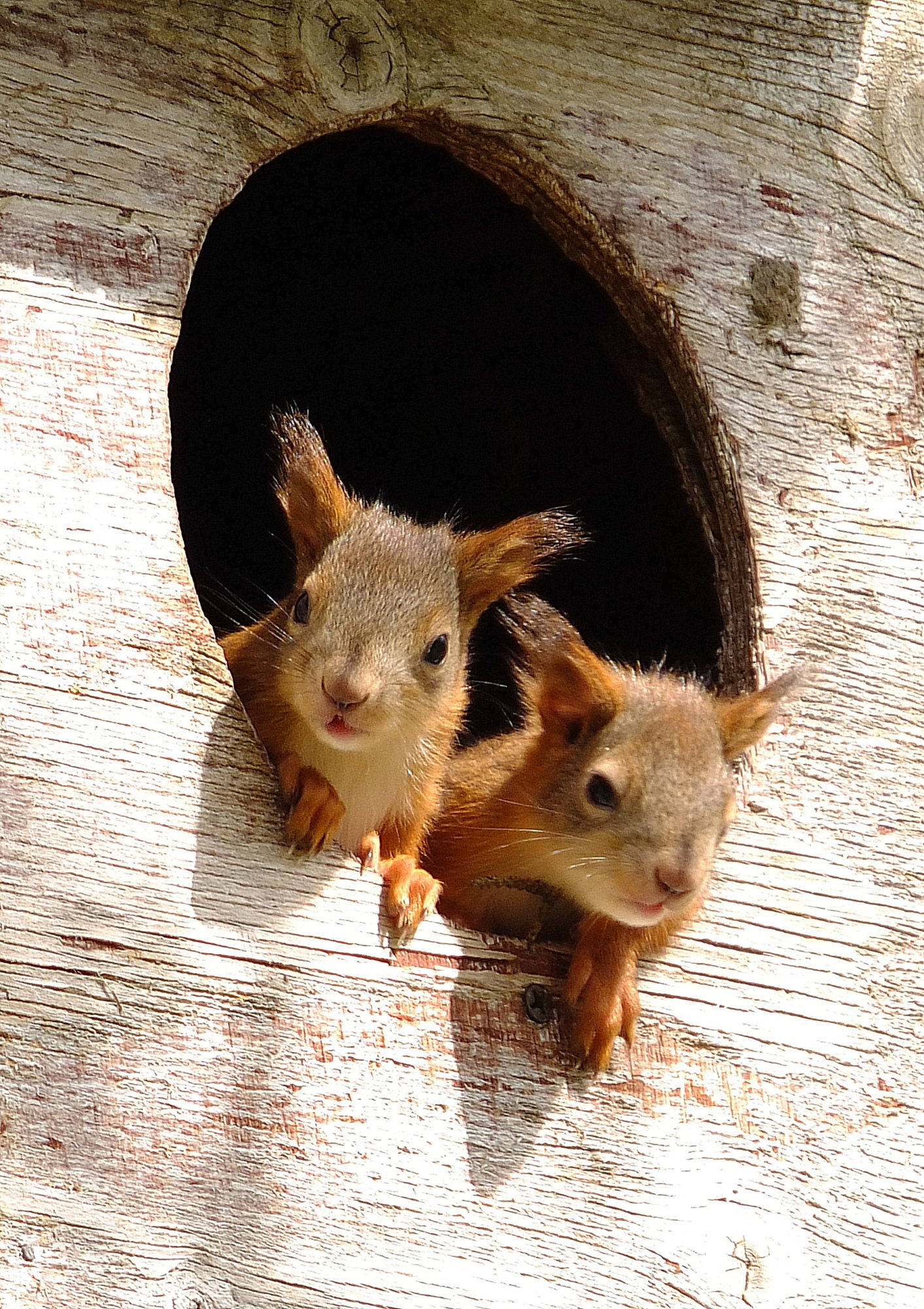 Valokuvaaja: hannu Rasiranta