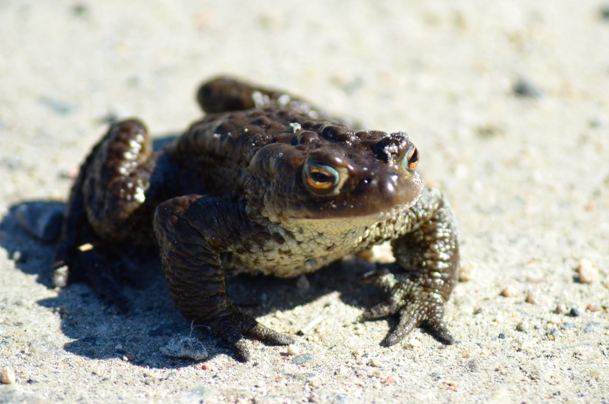 Valokuvaaja: Seija Sipola