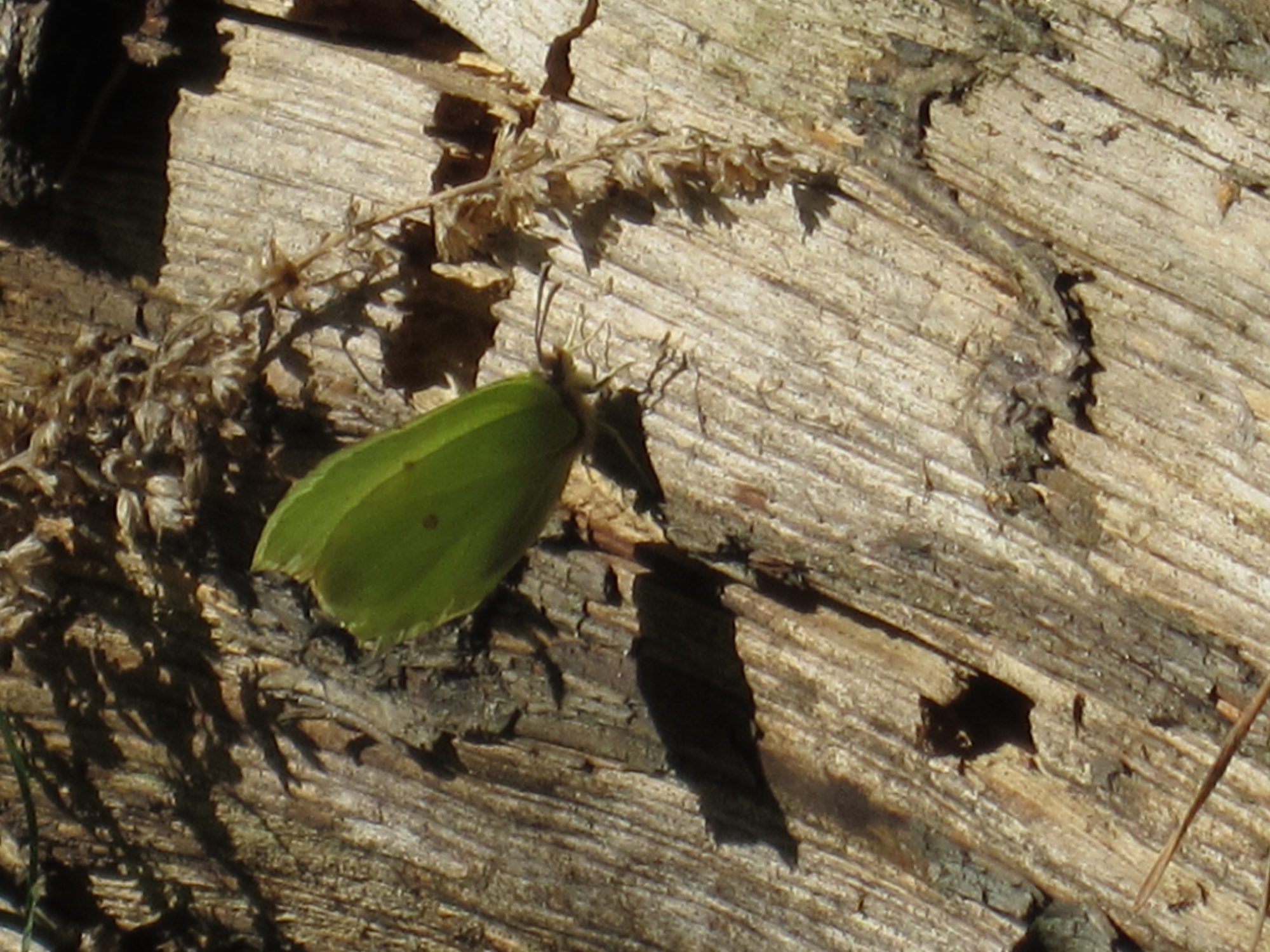 Valokuvaaja: Marita Portin