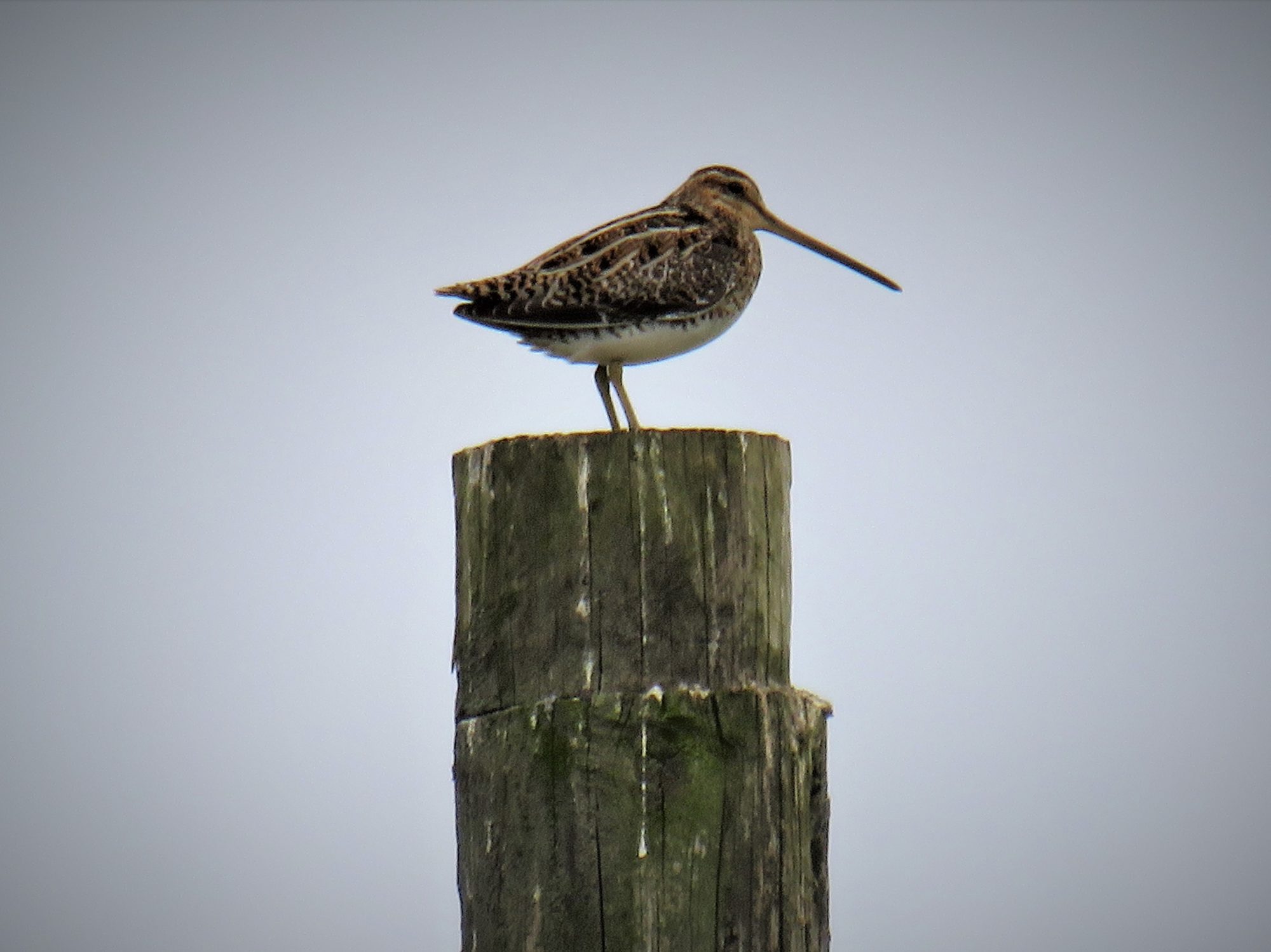 Valokuvaaja: Jukka Rönkä Valokuvaaja: Jukka Rönkä