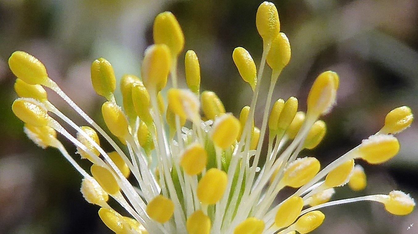 Valokuvaaja: Arja Valtonen