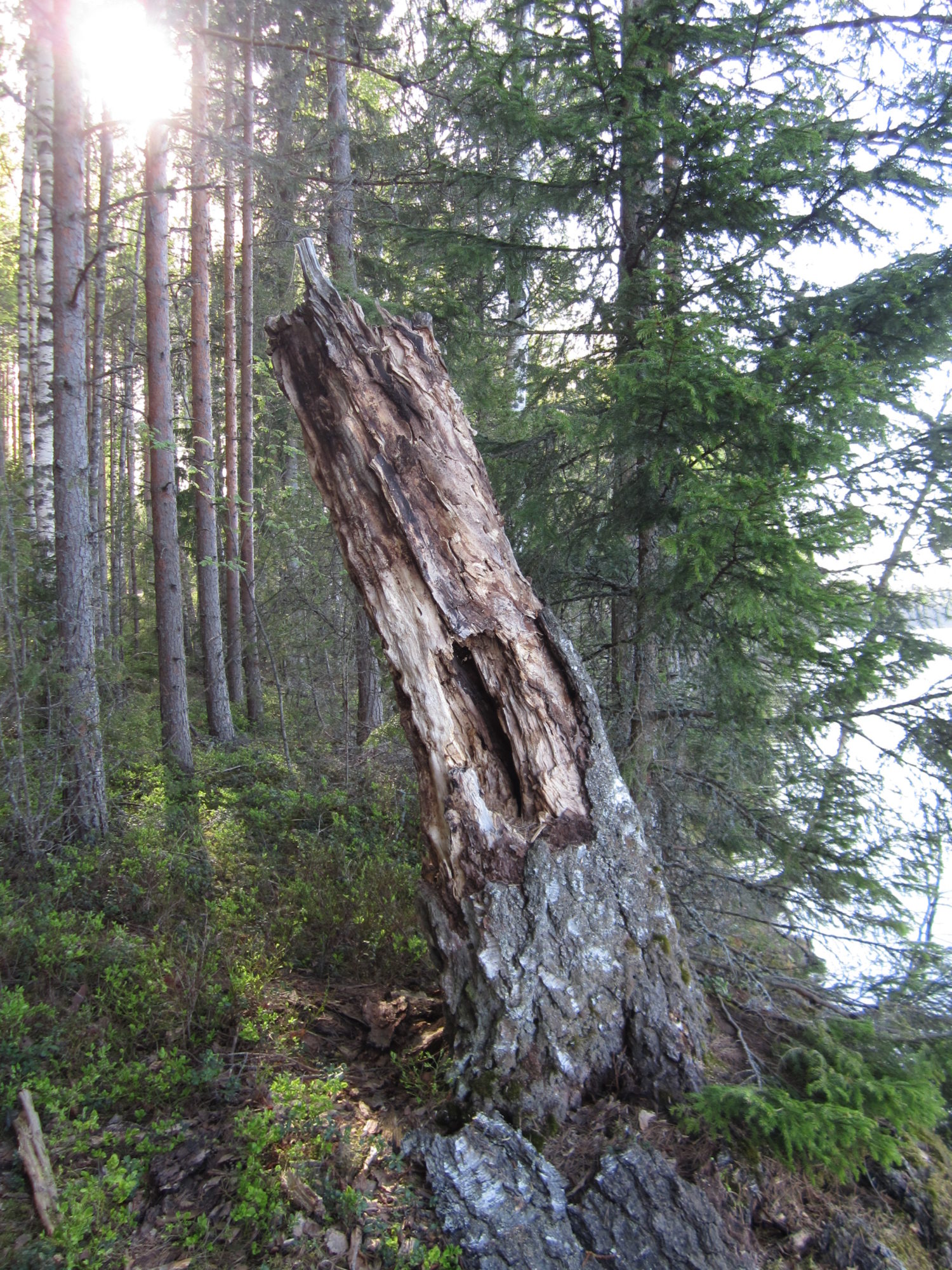 Valokuvaaja: Marita Portin