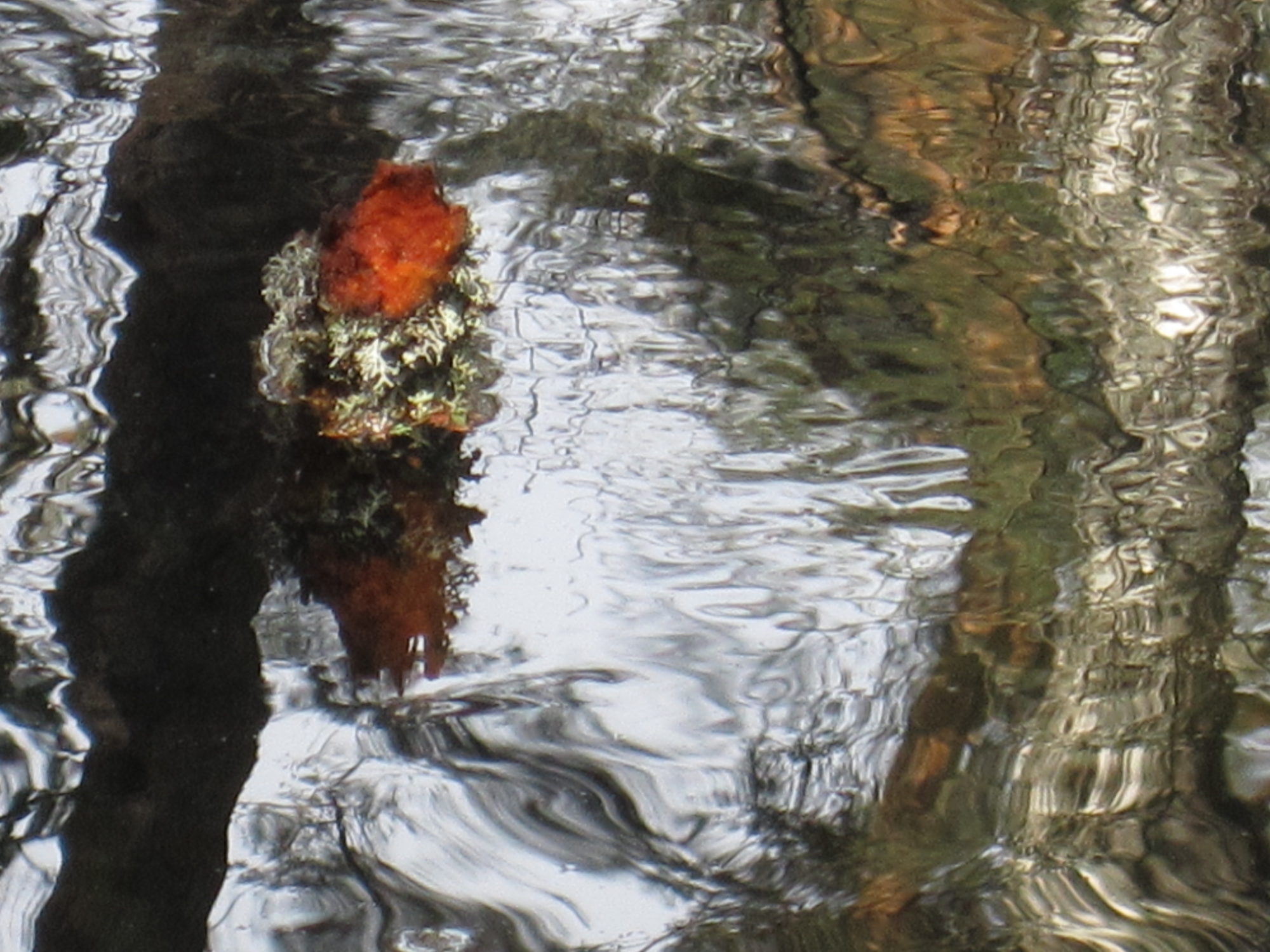 Valokuvaaja: Marita Portin