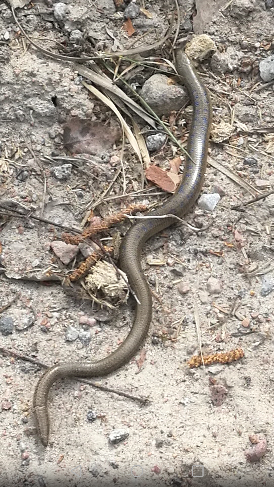 Valokuvaaja: Kirsi Kuisma