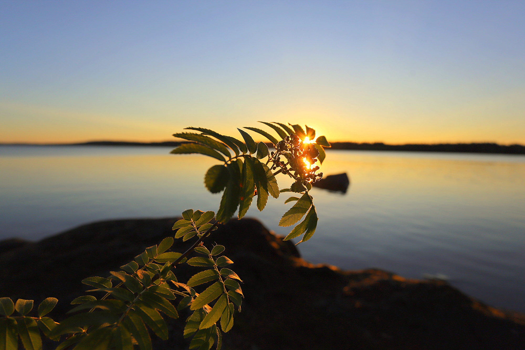 Valokuvaaja: sirpa jyske
