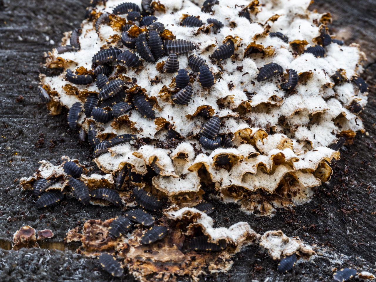 Valokuvaaja: Tomi Reunanen