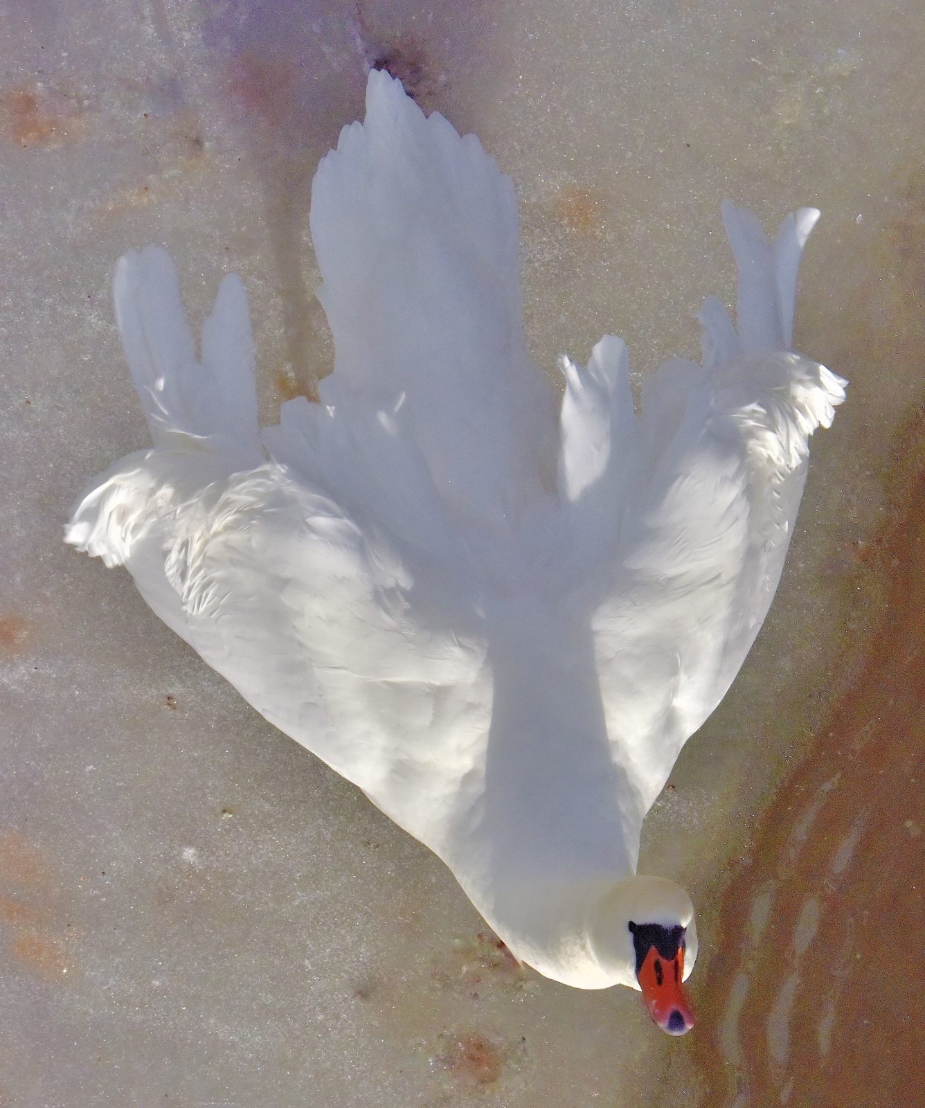 Valokuvaaja: Reijo Juurinen