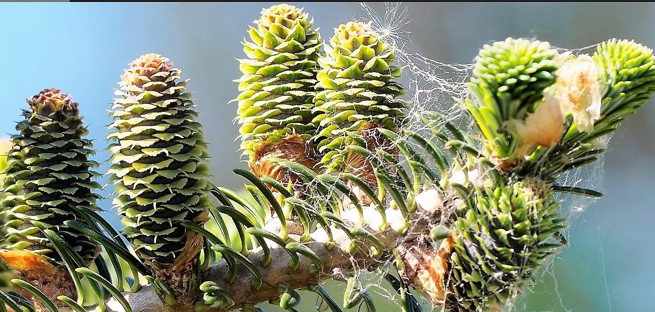 Valokuvaaja: Arja Valtonen