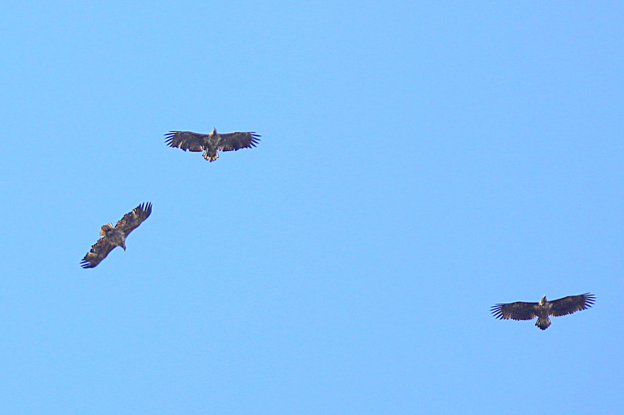 Valokuvaaja: sirpa jyske