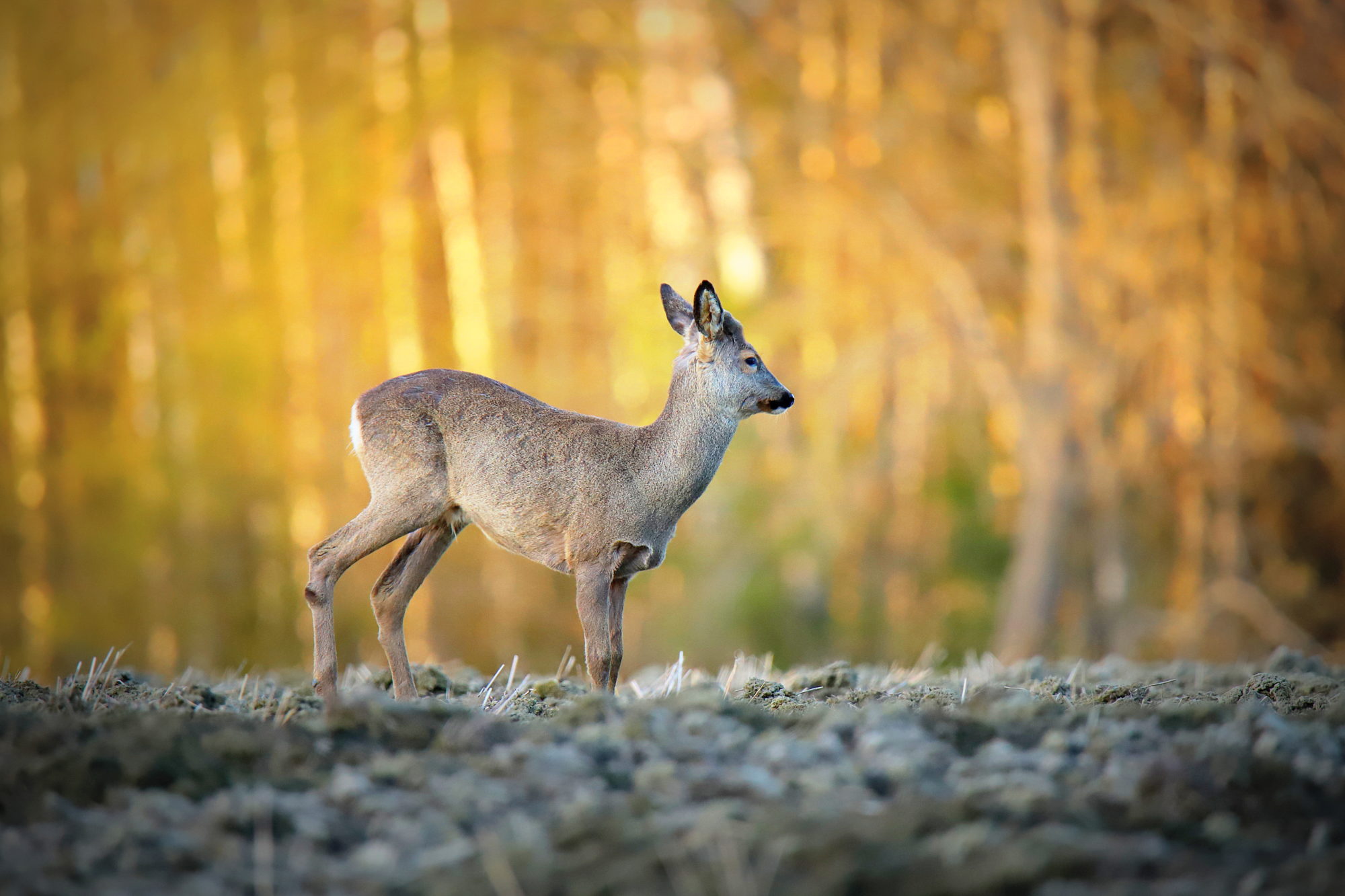 Valokuvaaja: sirpa jyske