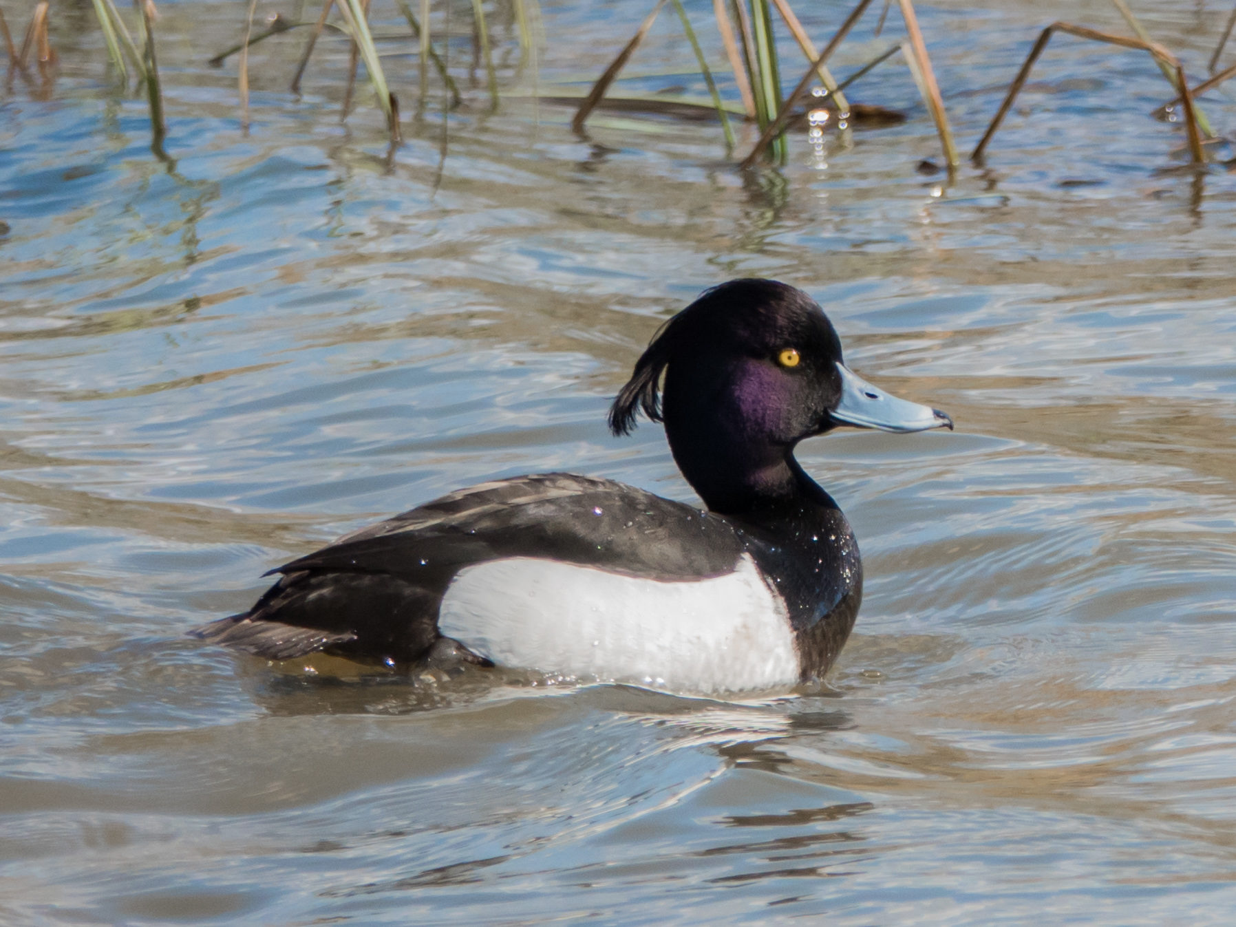 Valokuvaaja: Merja Ollikainen