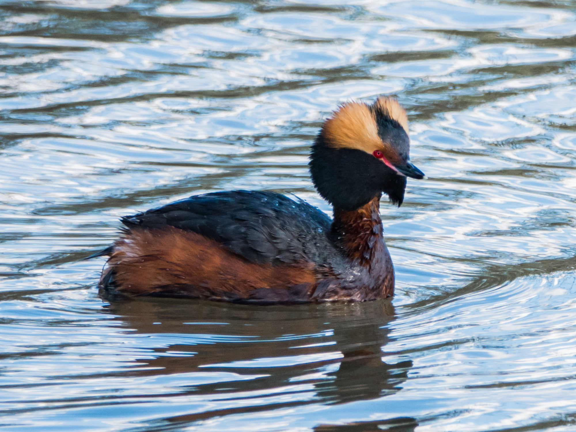 Valokuvaaja: Merja Ollikainen