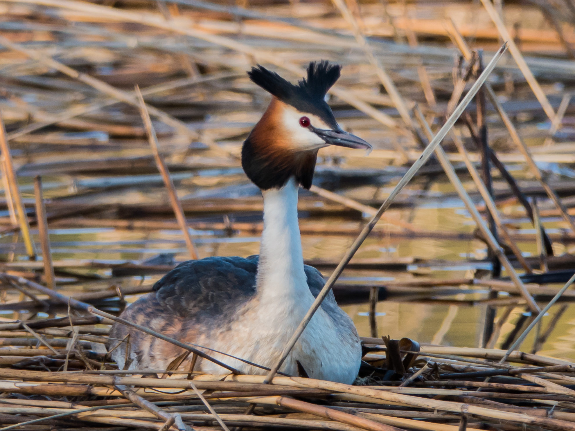 Valokuvaaja: Merja Ollikainen