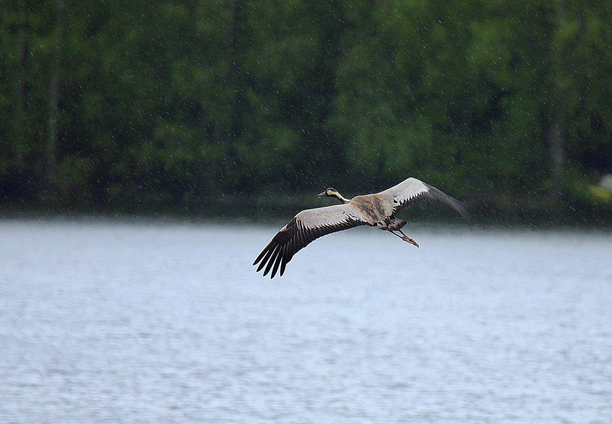 Valokuvaaja: sirpa jyske