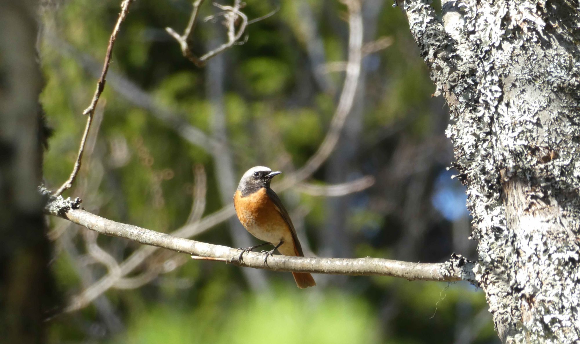 Valokuvaaja: Anja Mustamaa