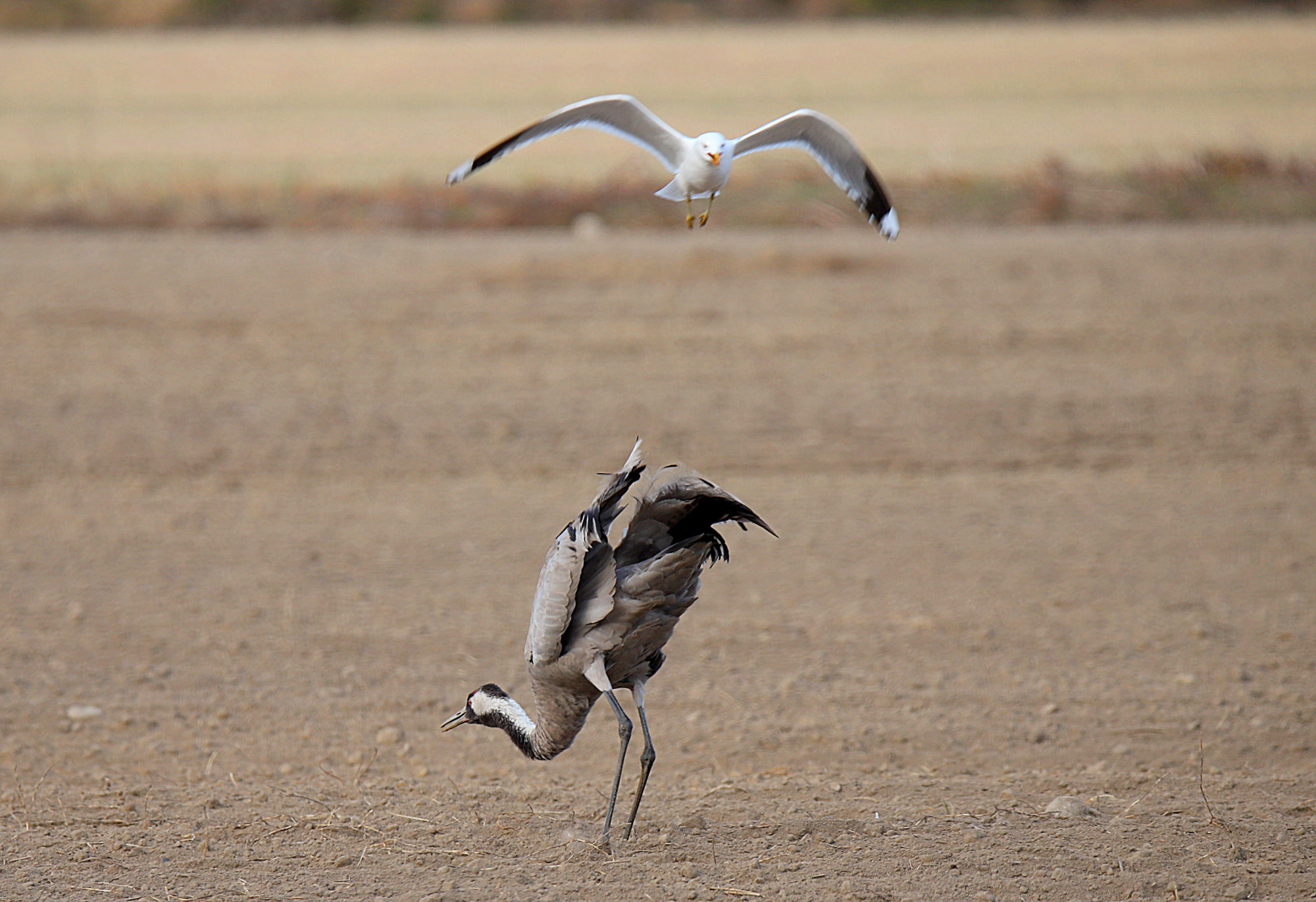 Valokuvaaja: sirpa jyske Valokuvaaja: sirpa jyske