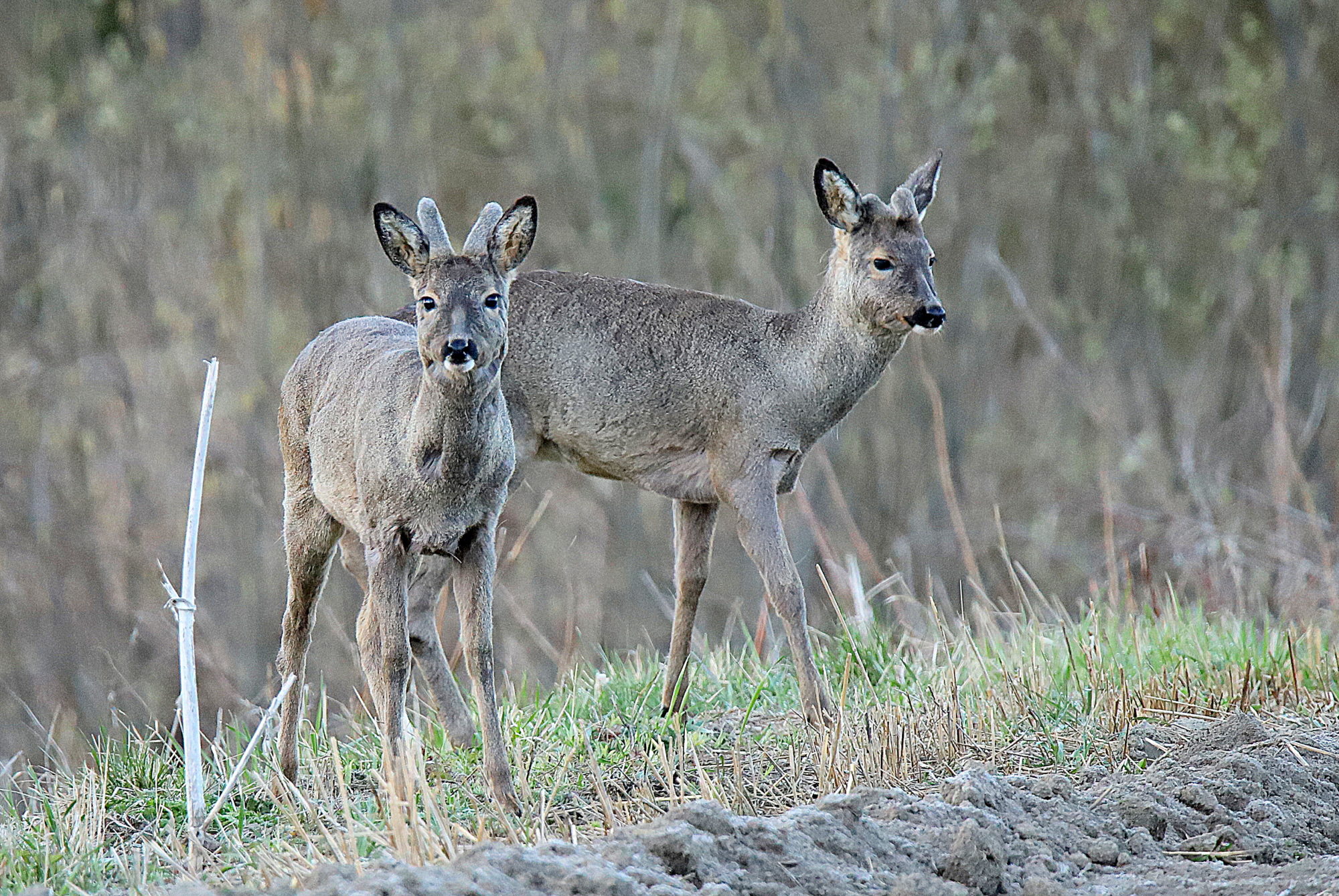 Valokuvaaja: sirpa jyske