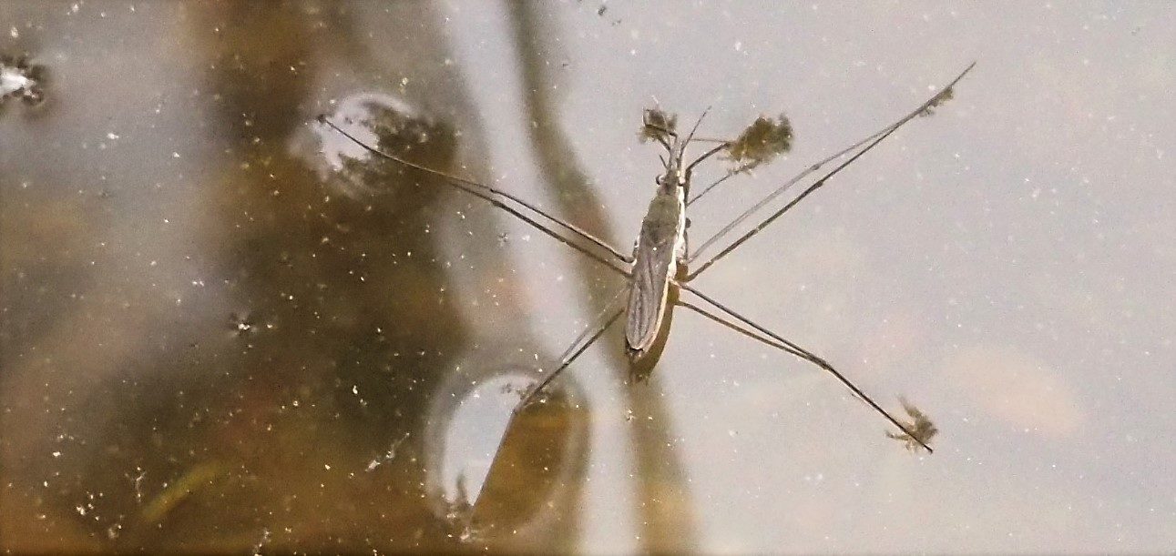 Valokuvaaja: Arja Valtonen