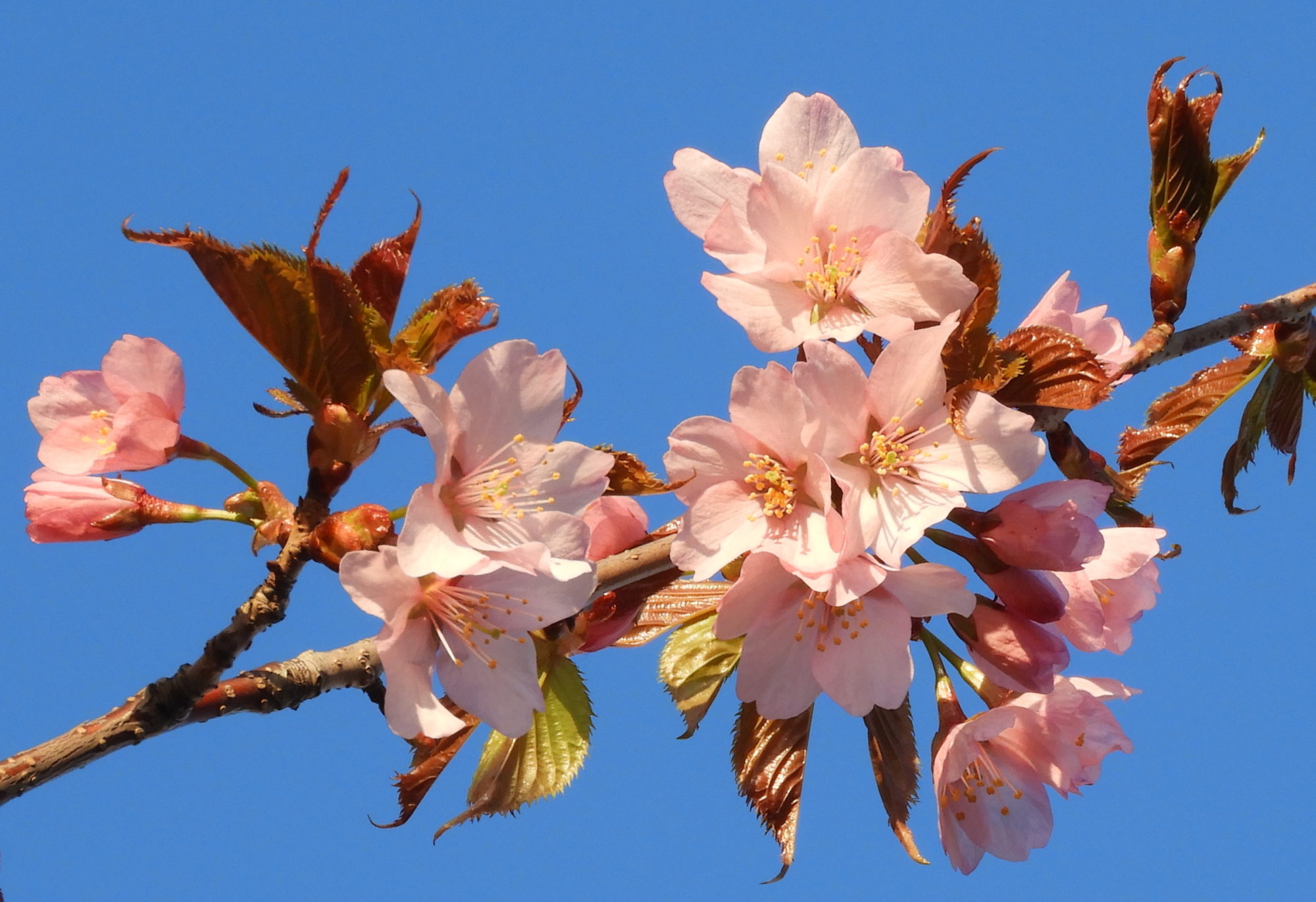 Valokuvaaja: Lissu Kaivolehto