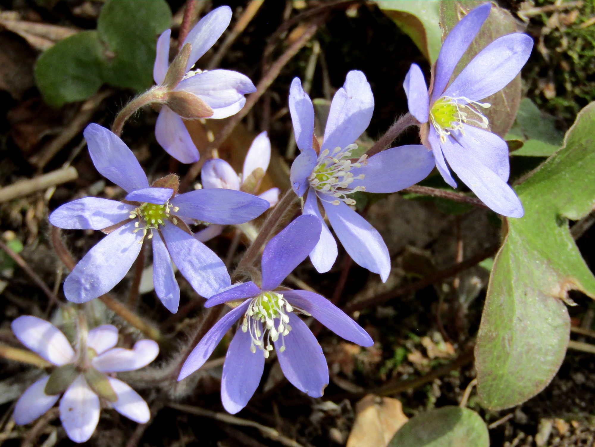 Valokuvaaja: Sirkka Ruotoistenmäki