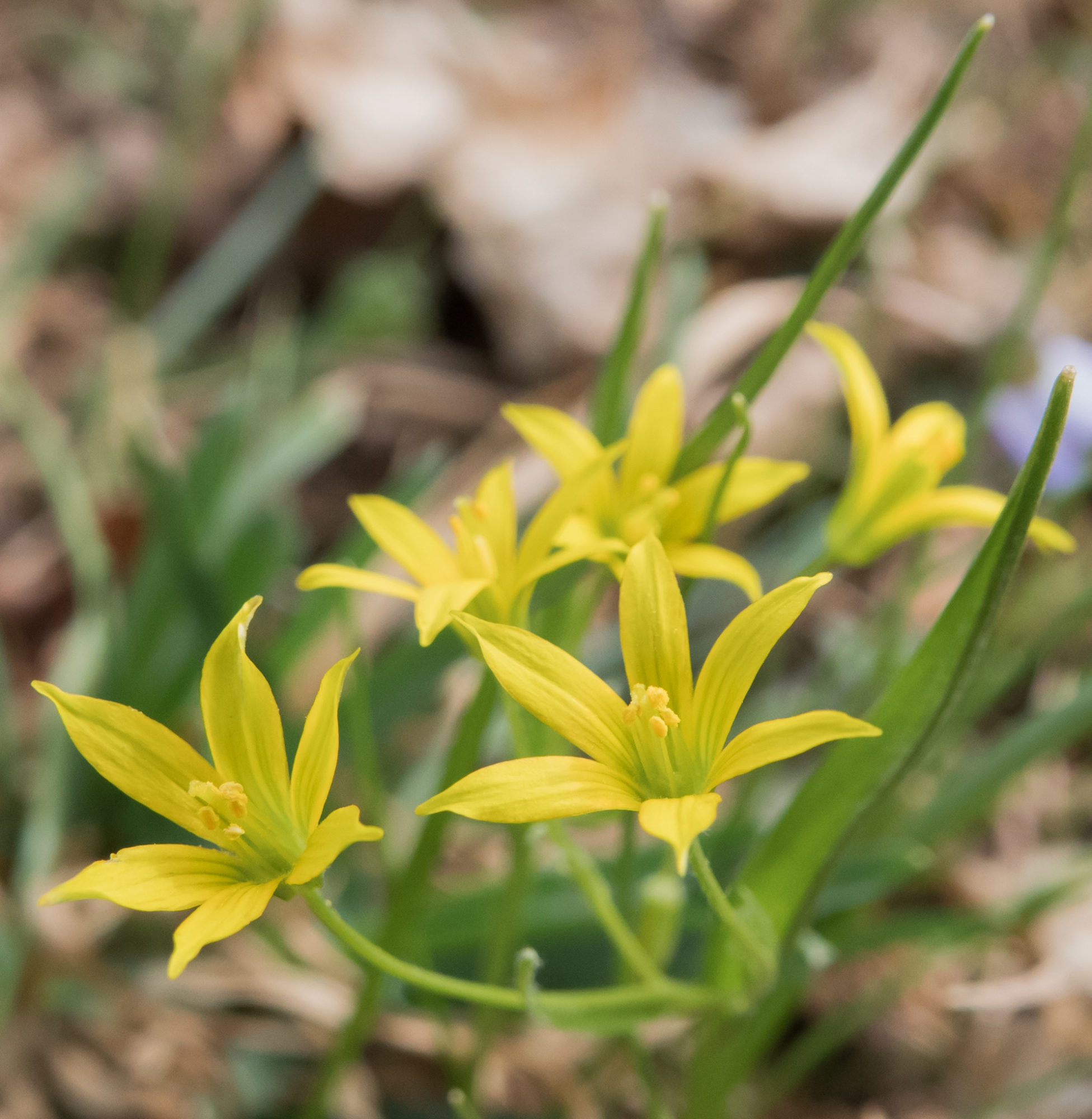 Valokuvaaja: Merja Ollikainen