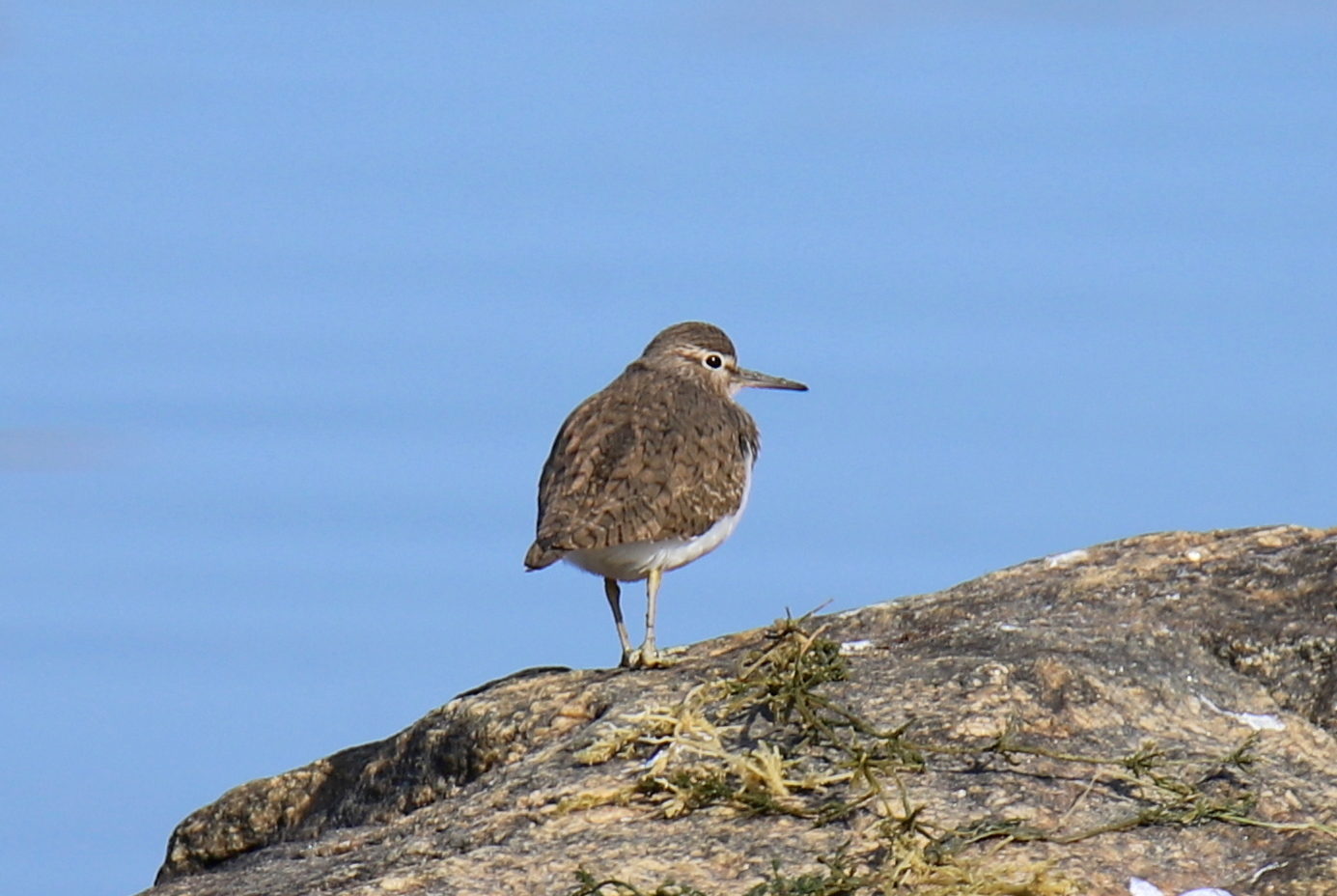 Valokuvaaja: sirpa jyske Valokuvaaja: sirpa jyske