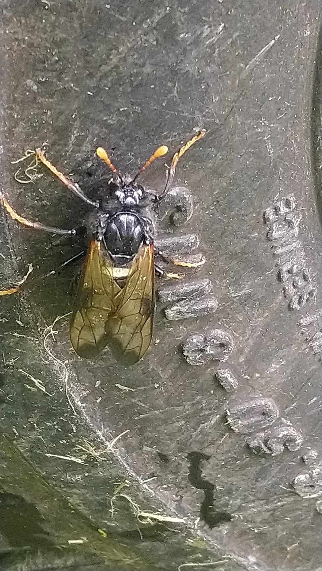 Valokuvaaja: Jyrki Ala-Reini