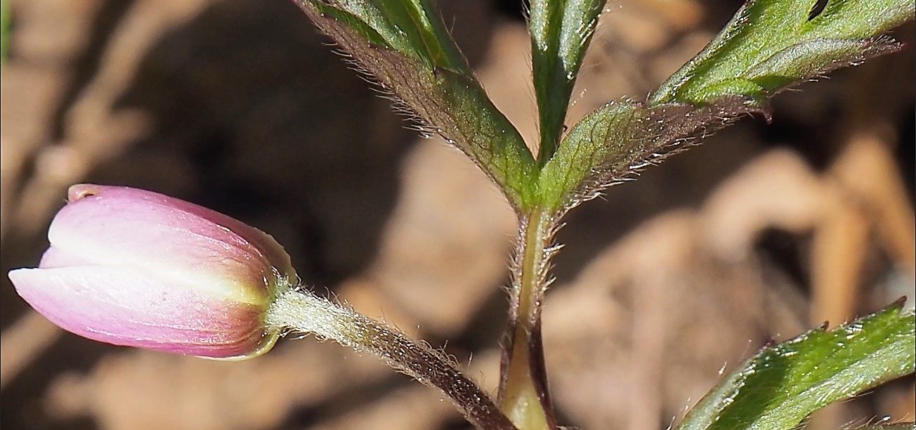 Valokuvaaja: Arja Valtonen