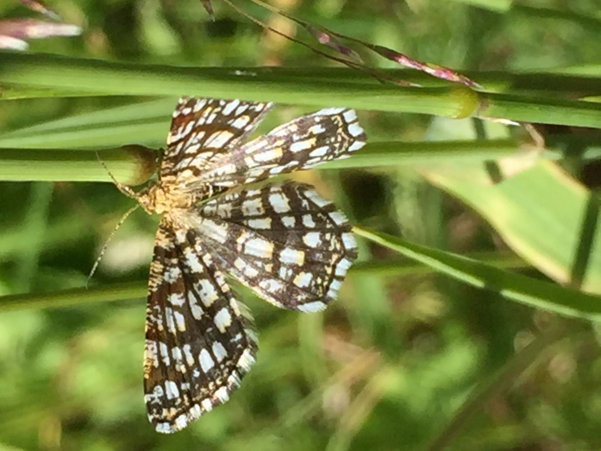 Valokuvaaja: Markku Ranta-Eilola