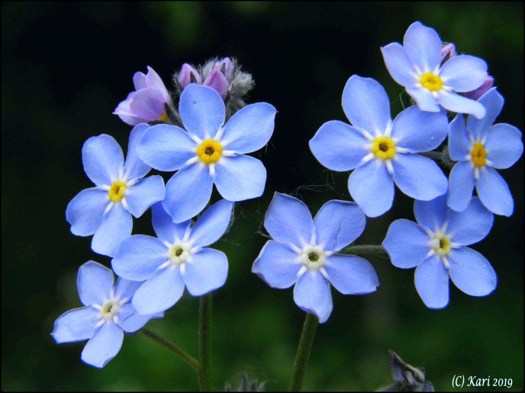 Valokuvaaja: Kari Saarinen