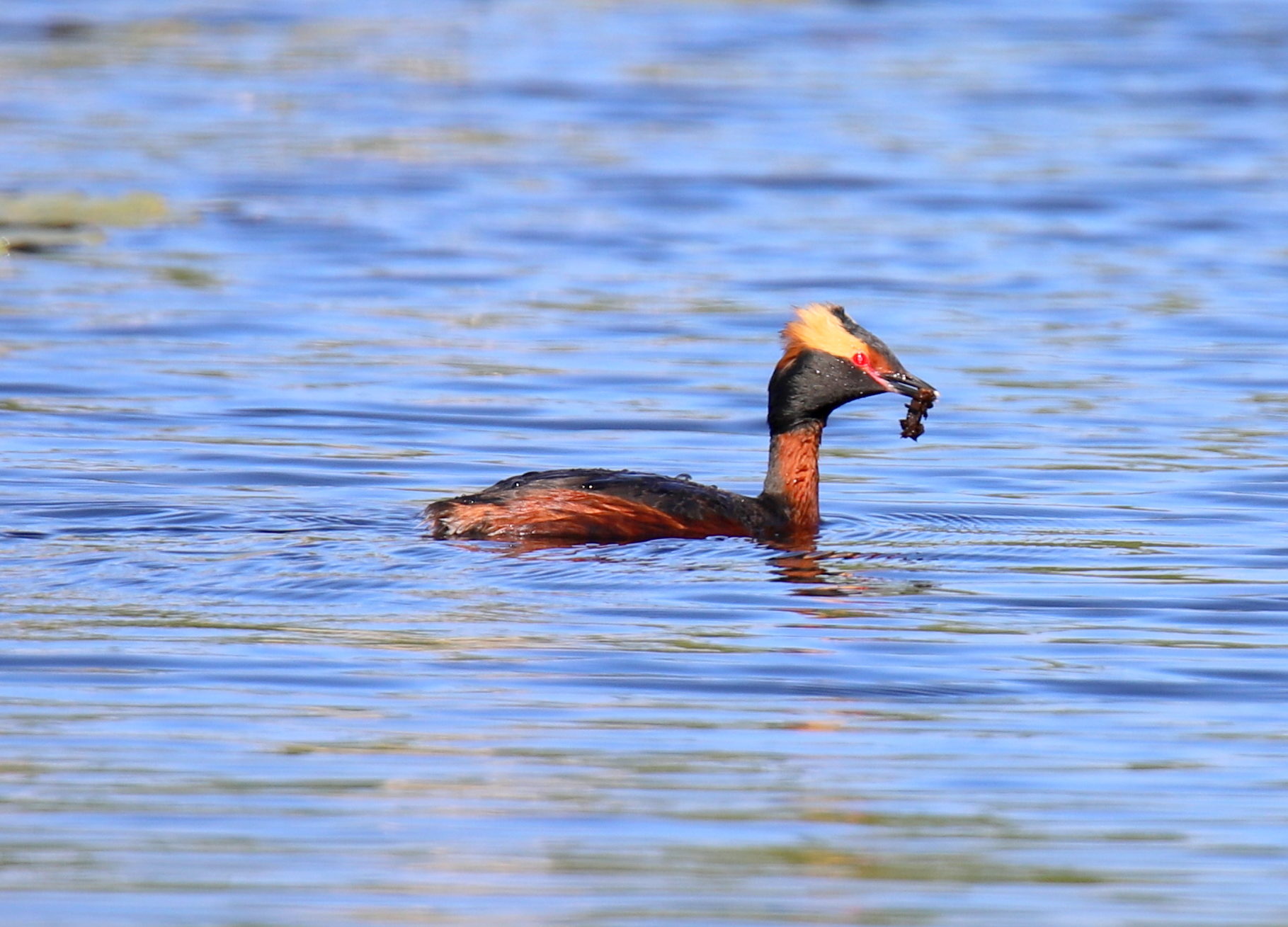 Valokuvaaja: sirpa jyske