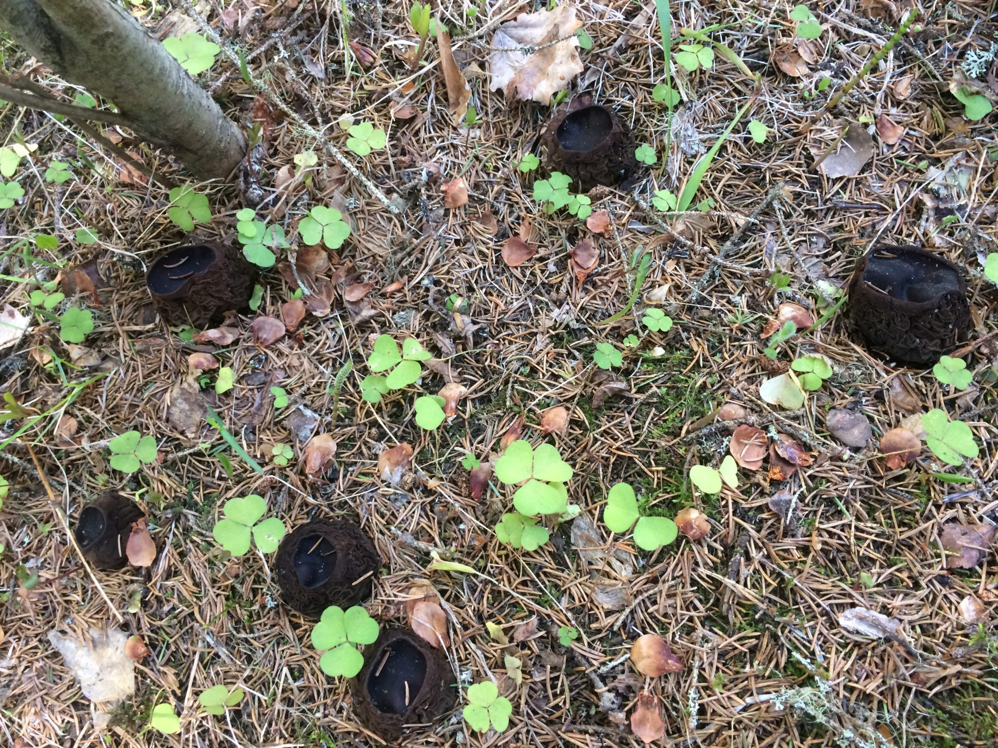 Valokuvaaja: Elina Seppä