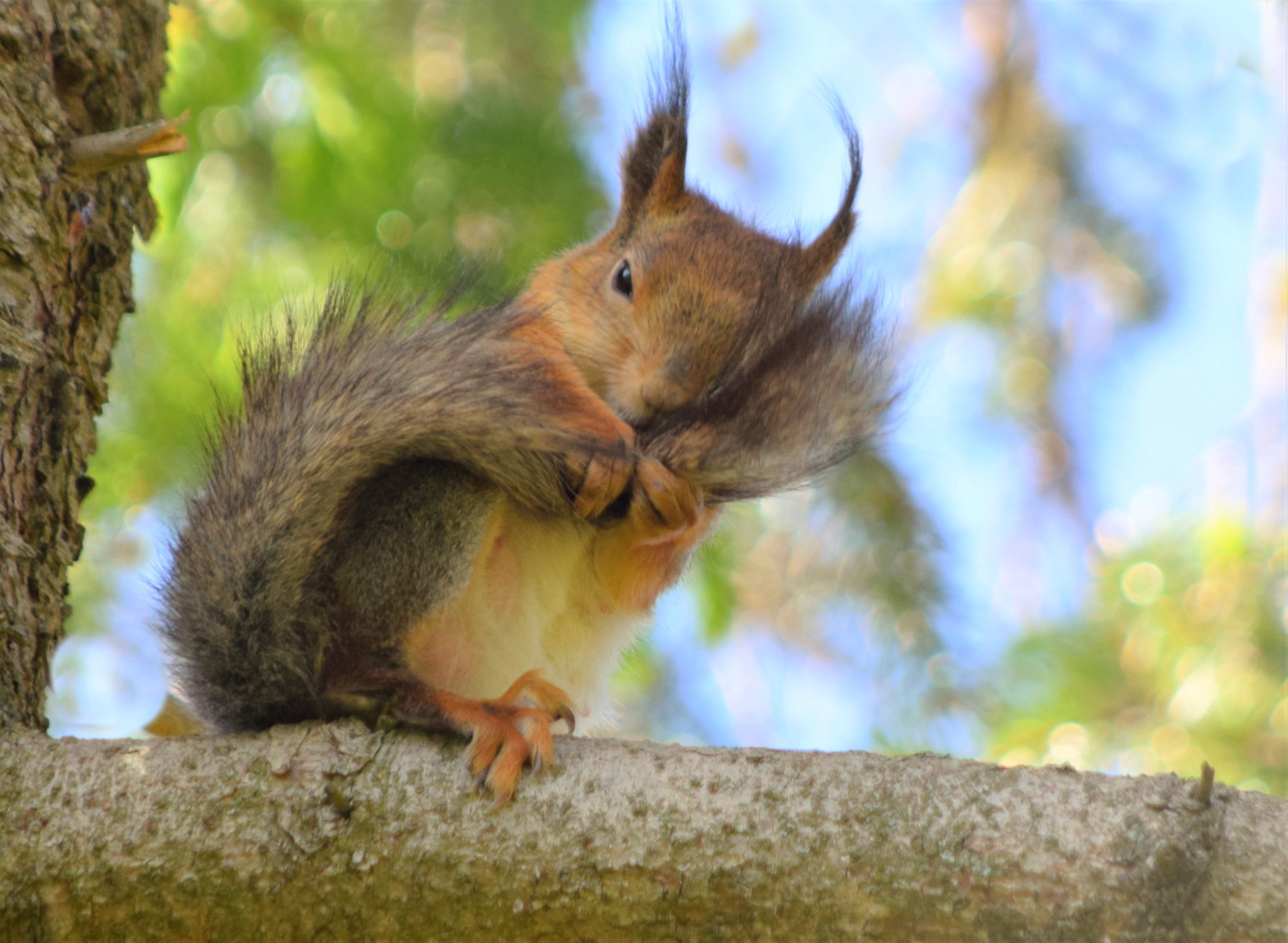 Valokuvaaja: Leena Rissanen