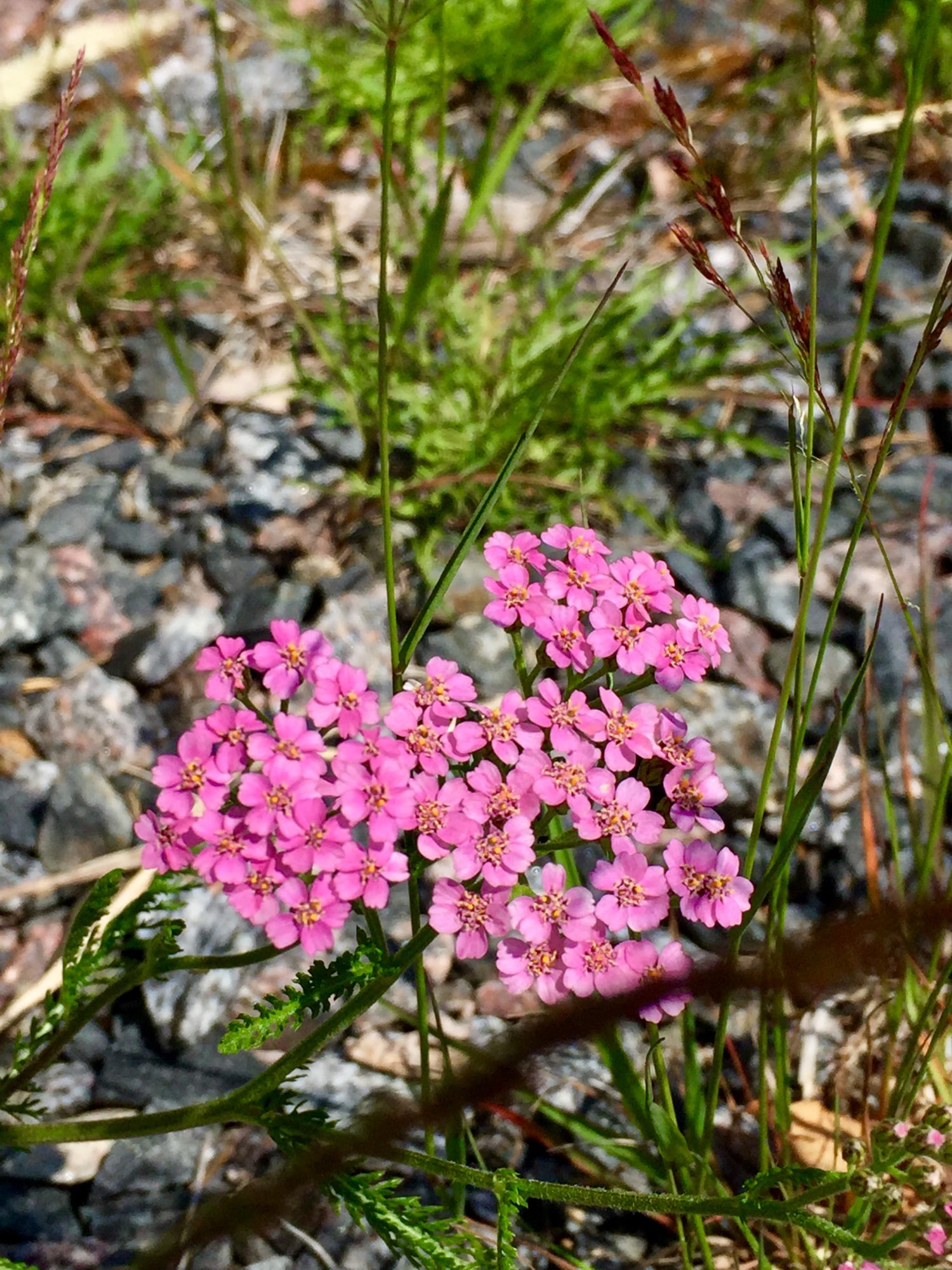Valokuvaaja: Markku Ranta-Eilola
