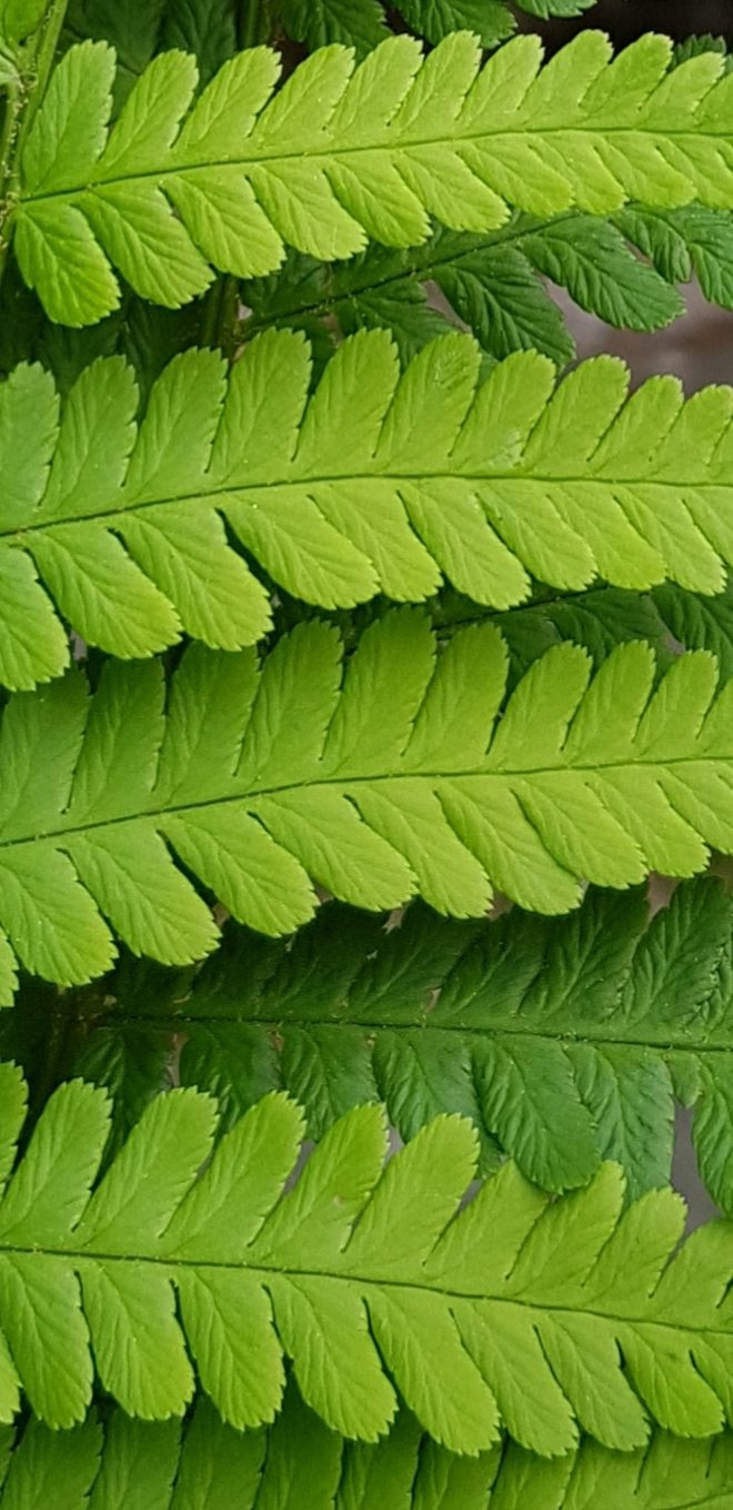 Valokuvaaja: Suvi-Riitta Kinnari