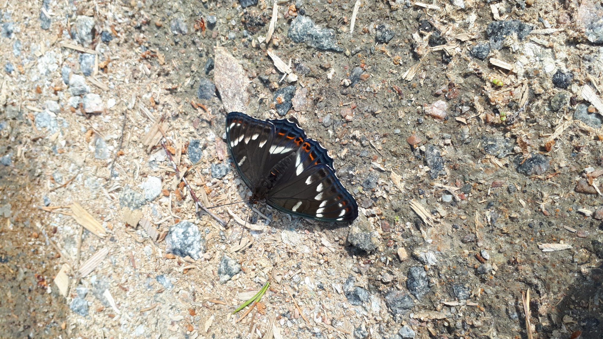 Valokuvaaja: Ria Heiskanen