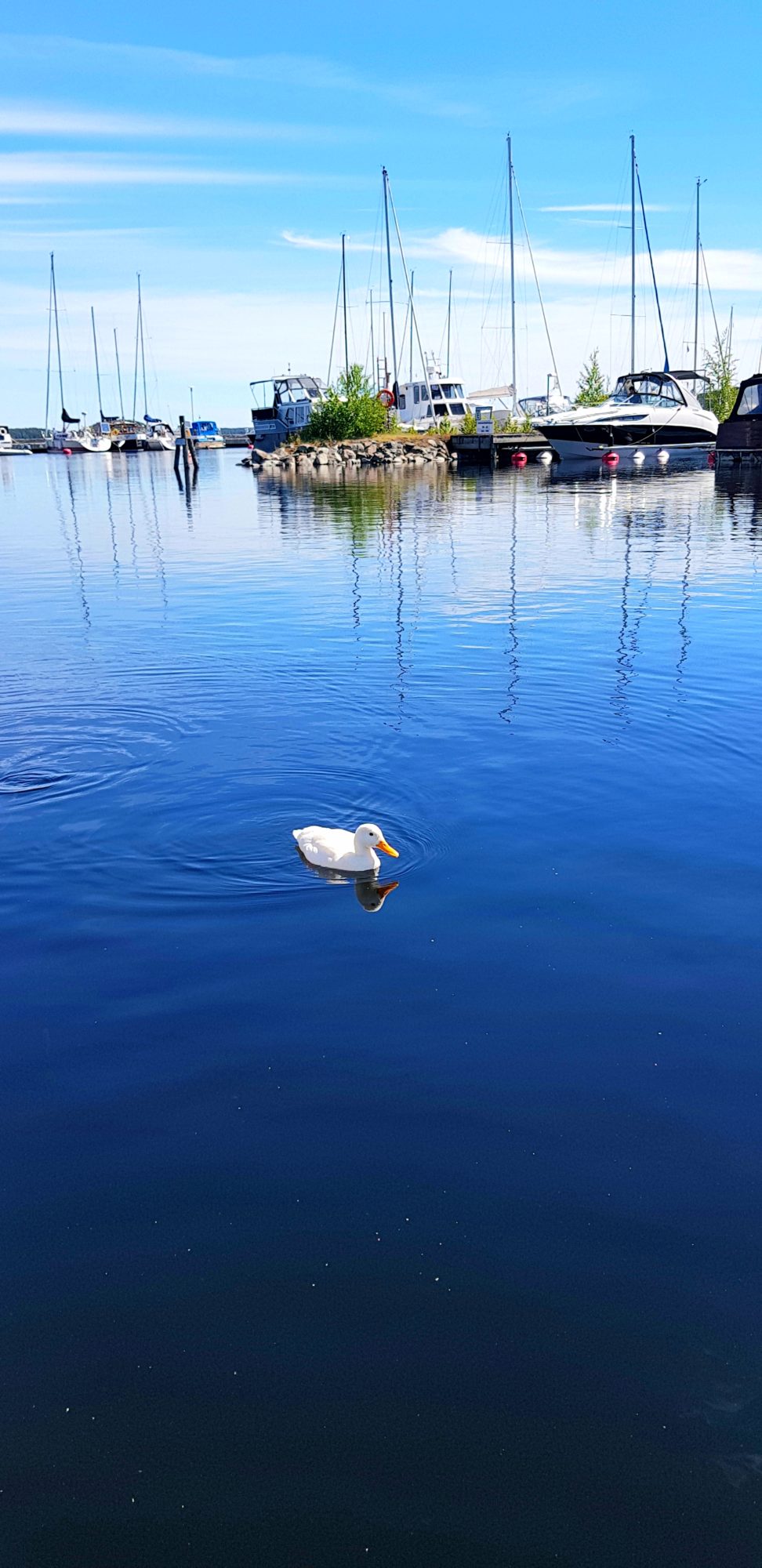 Valokuvaaja: Susanna Heikkilä