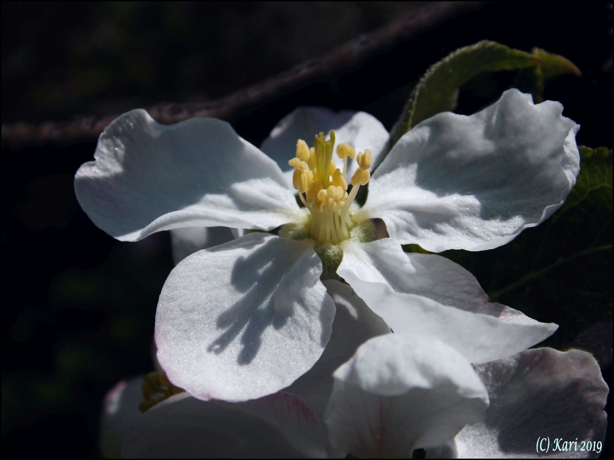 Valokuvaaja: Kari Saarinen